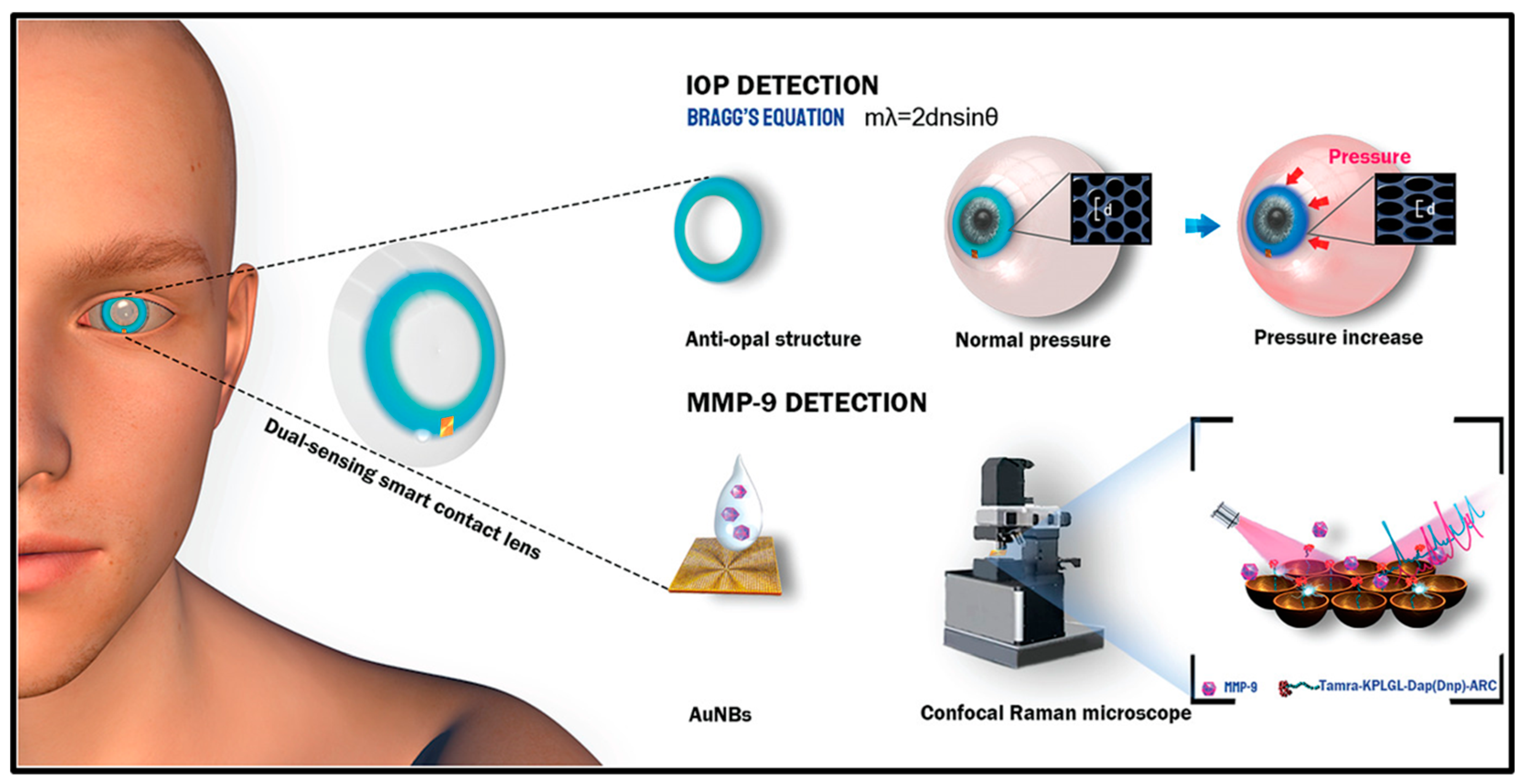 Biosensors 13 00663 g013