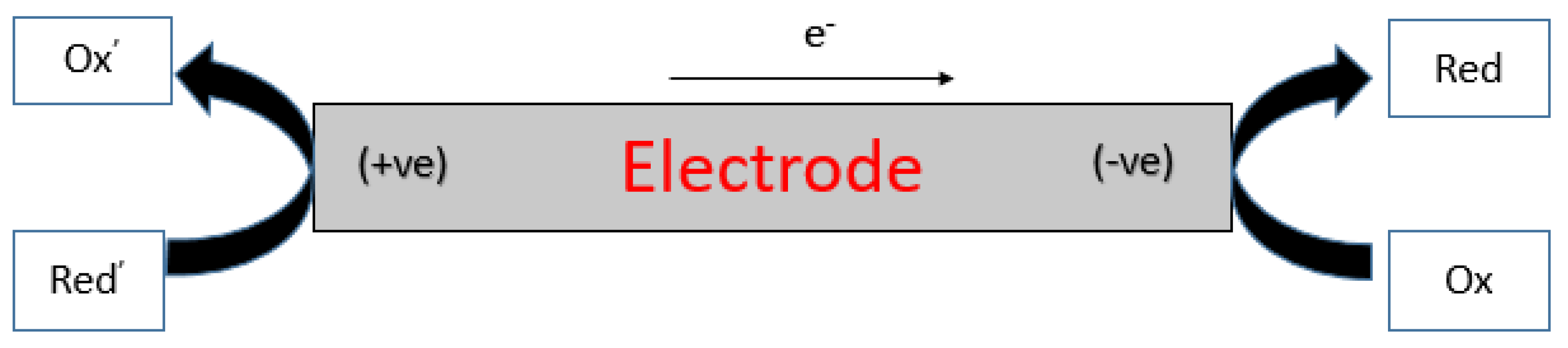Biosensors 13 00666 g002