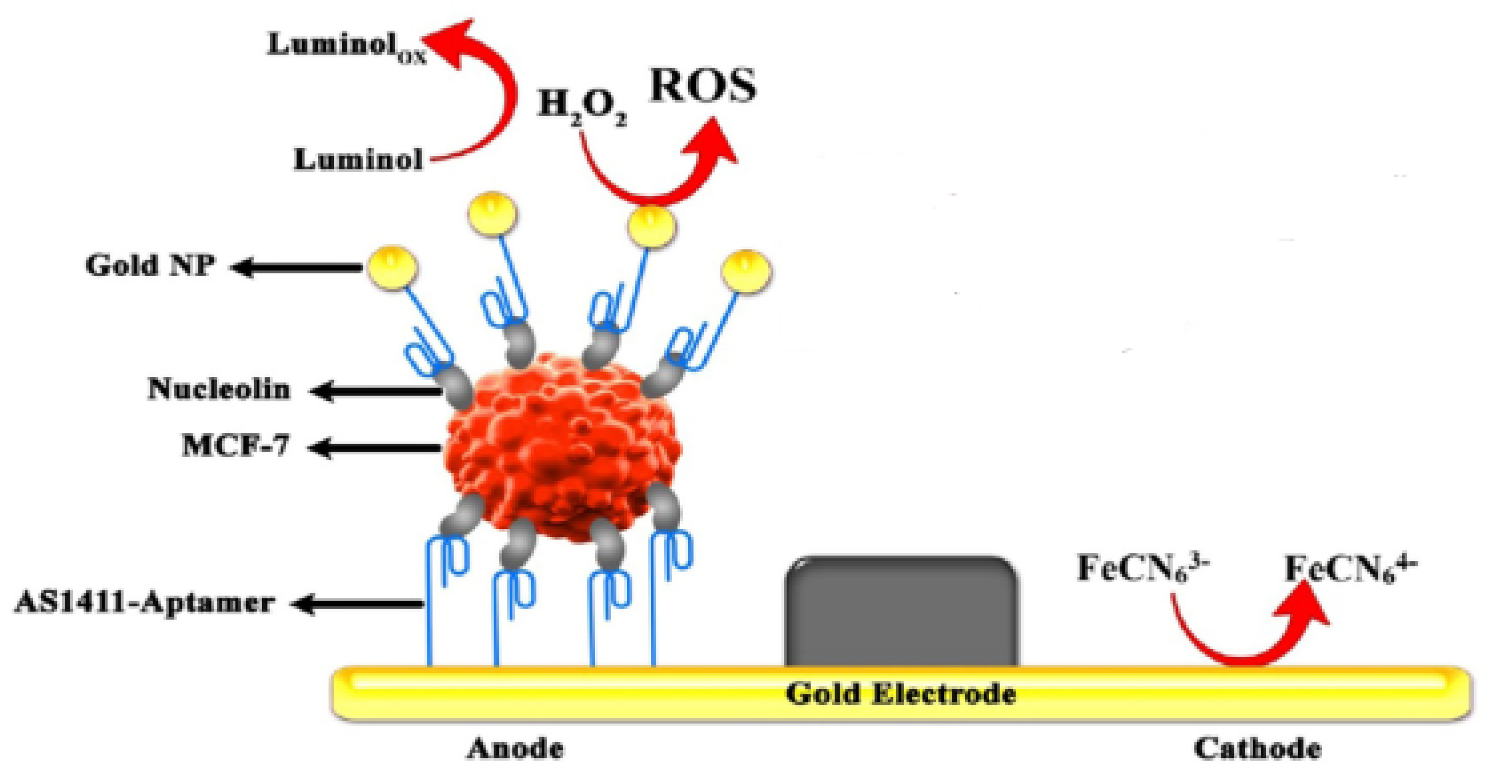 Biosensors 13 00666 sch001