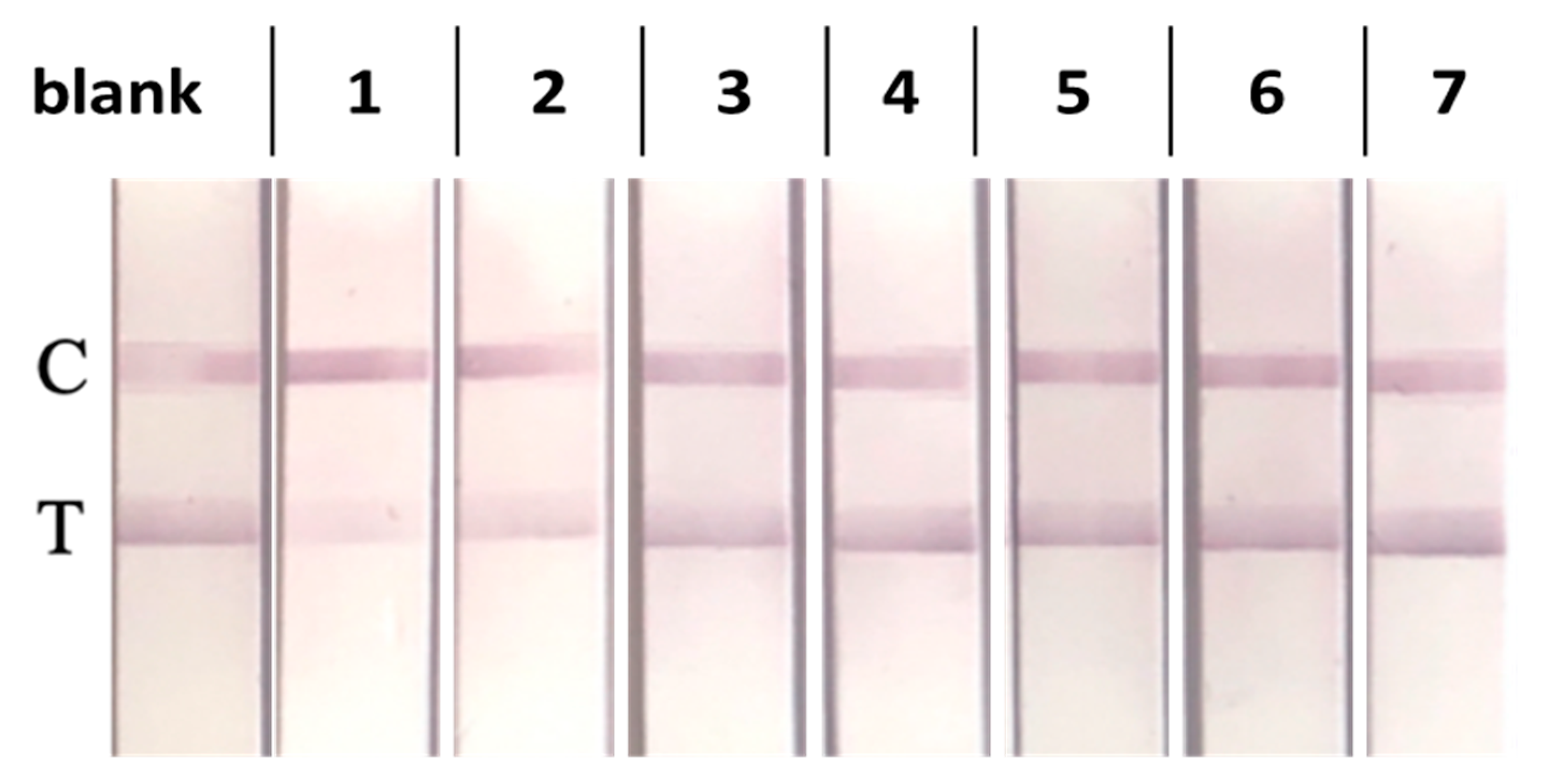 Biosensors 13 00667 g004
