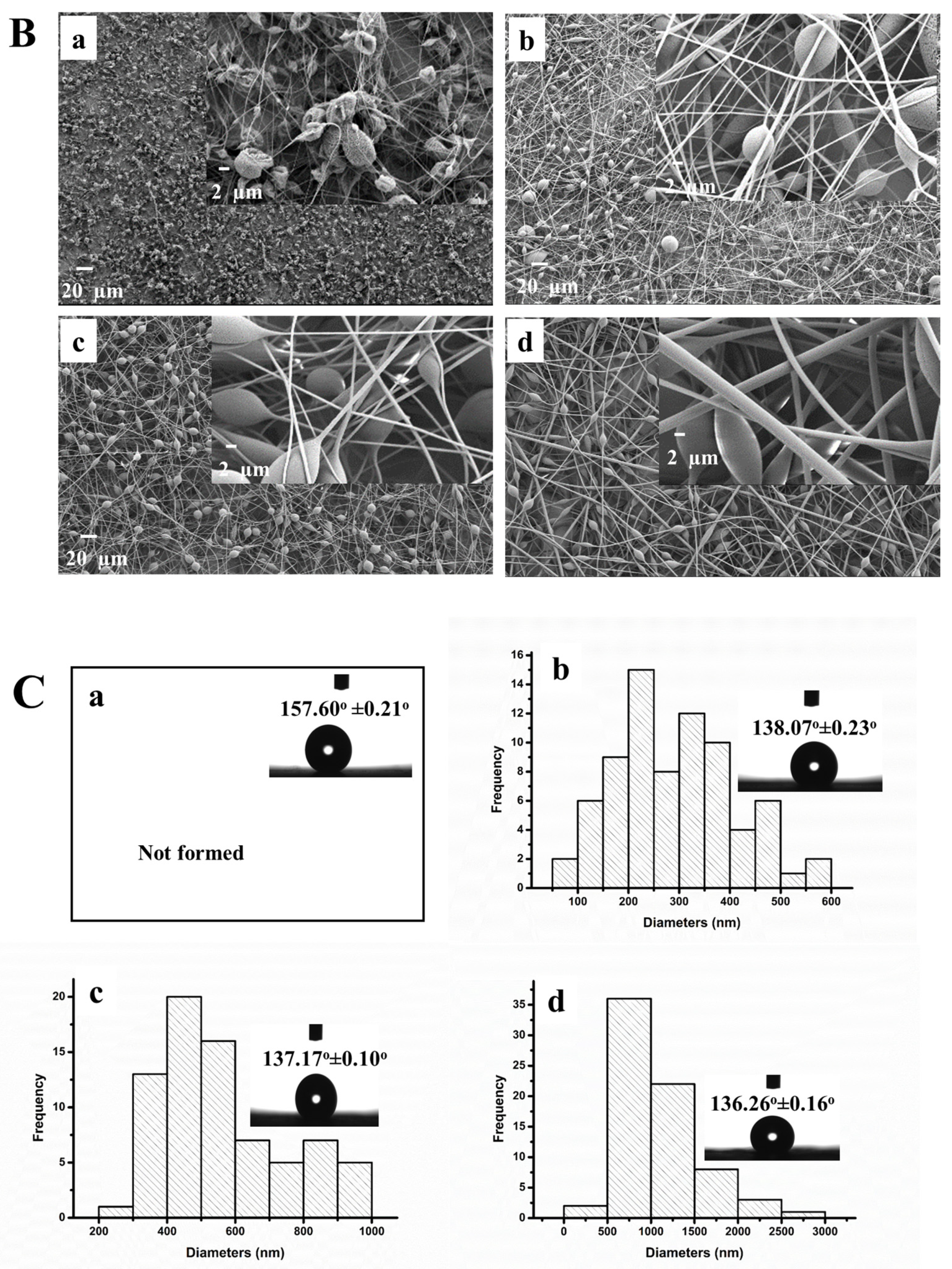 Biosensors 13 00673 g002b