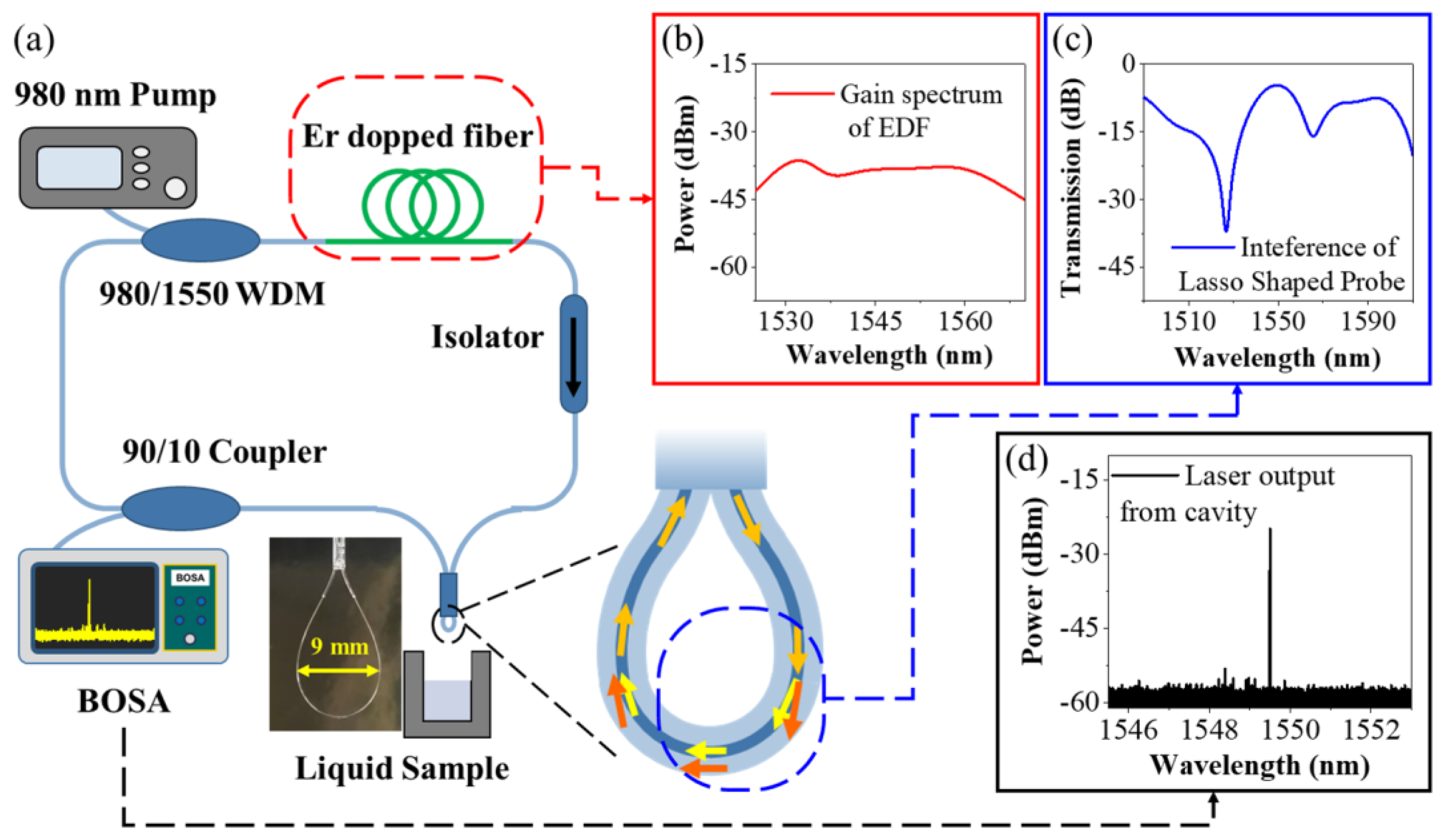 Biosensors 13 00674 g001