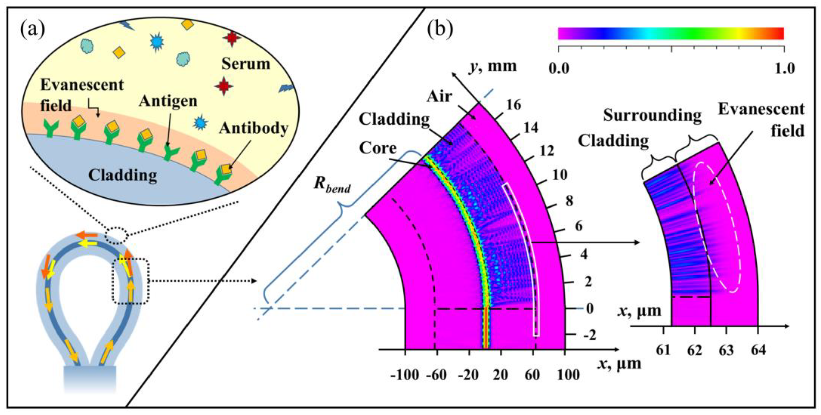 Biosensors 13 00674 g002