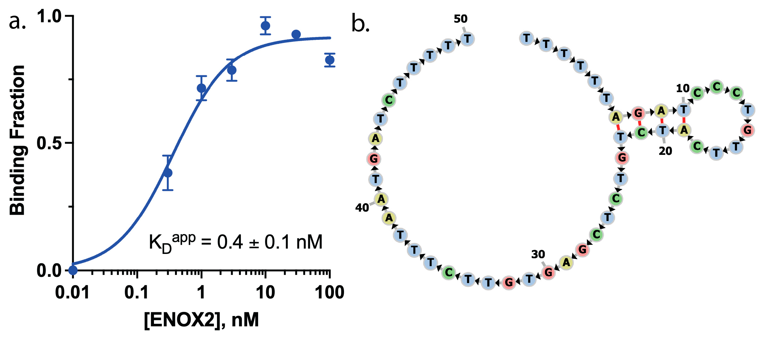 Biosensors 13 00675 g001