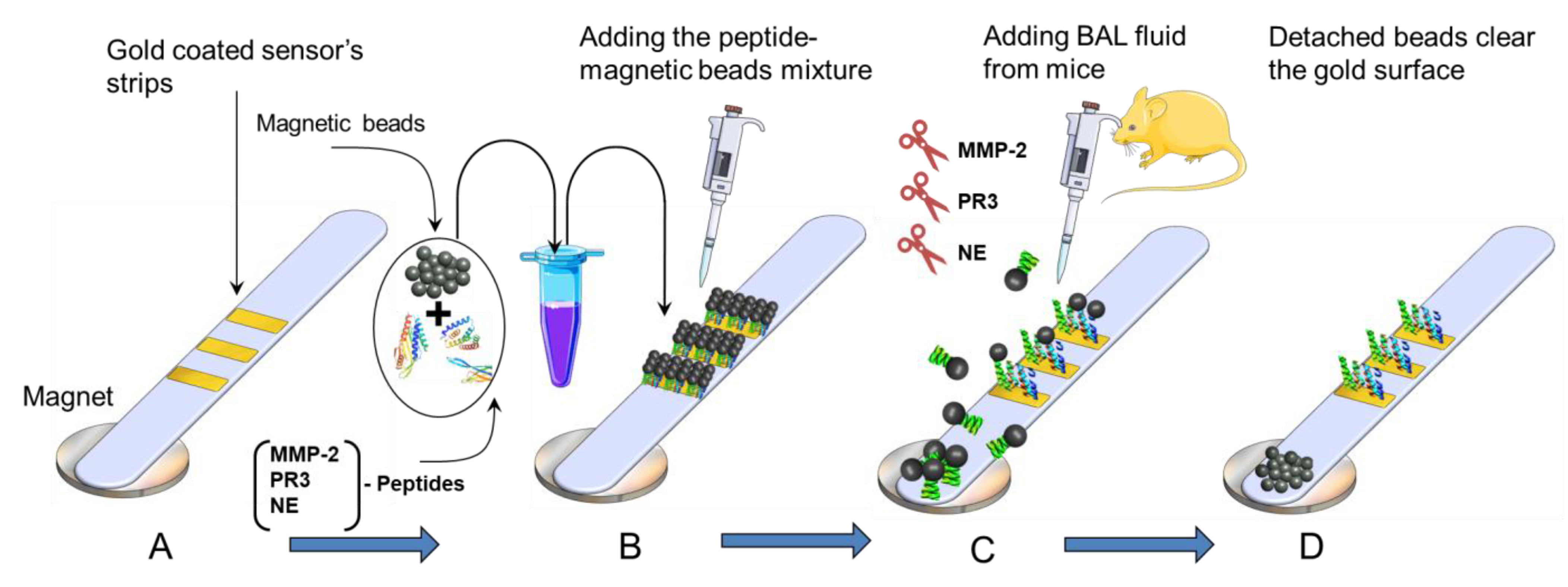 Biosensors 13 00676 sch001