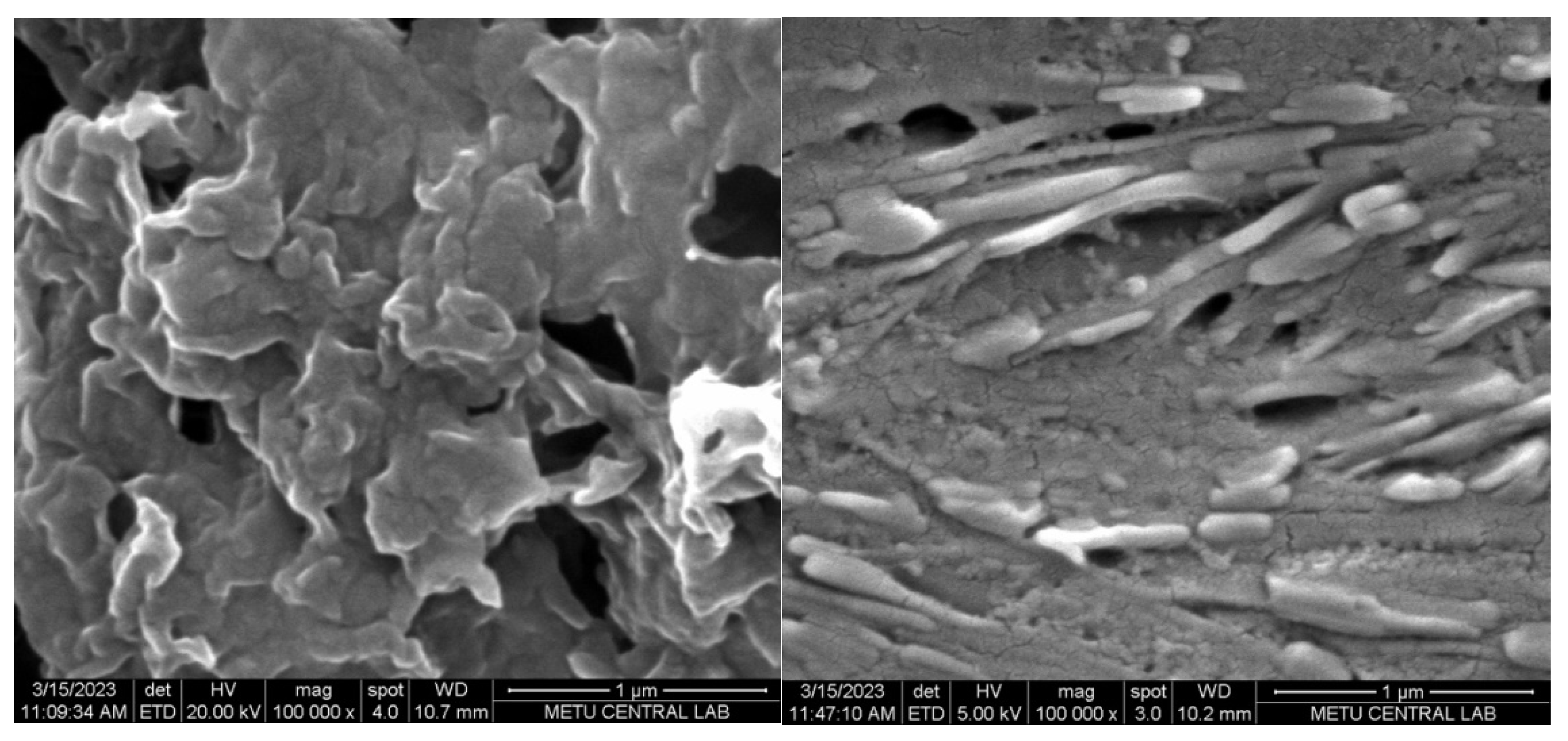 Biosensors 13 00677 g006