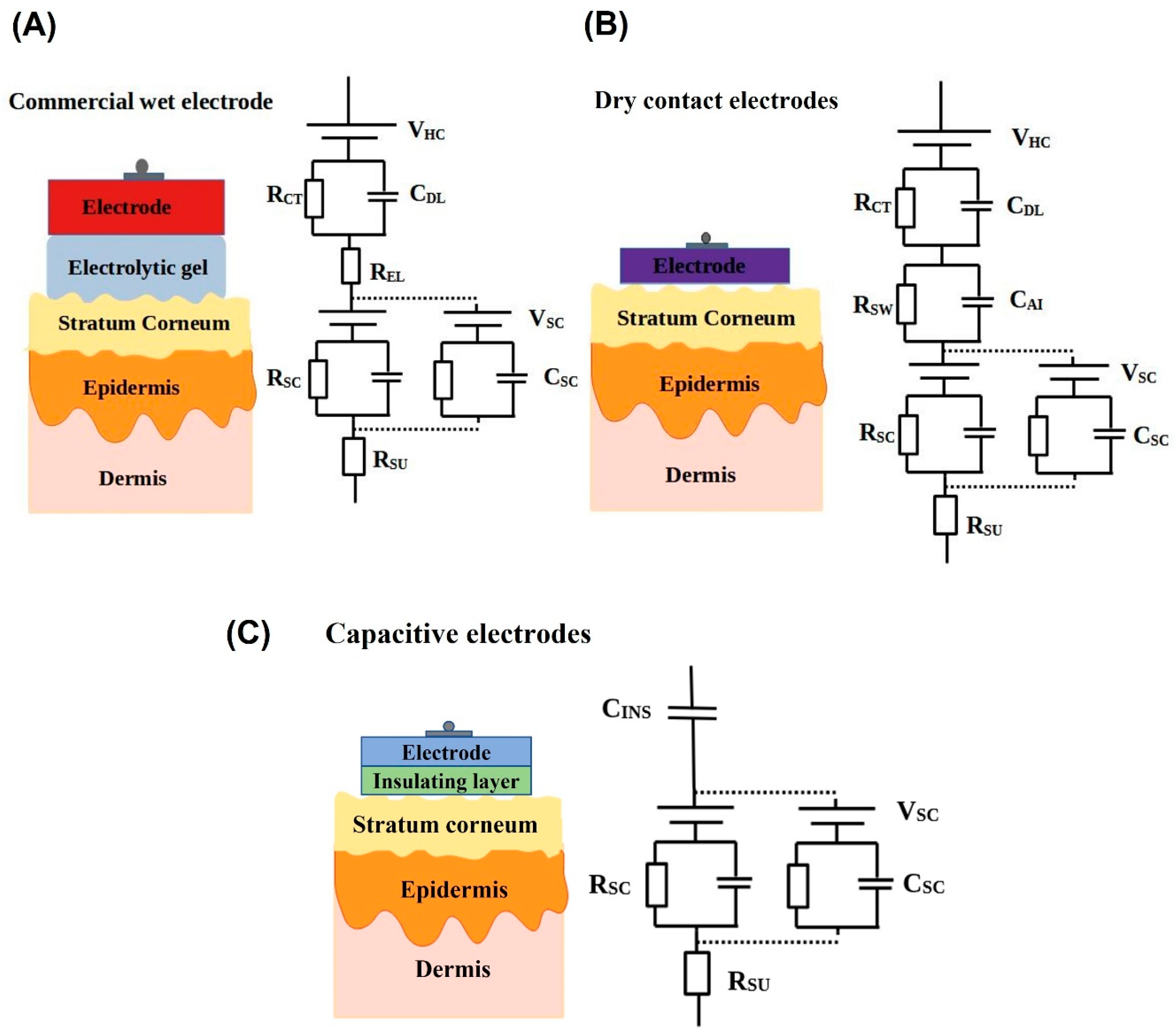 Biosensors 13 00679 g005