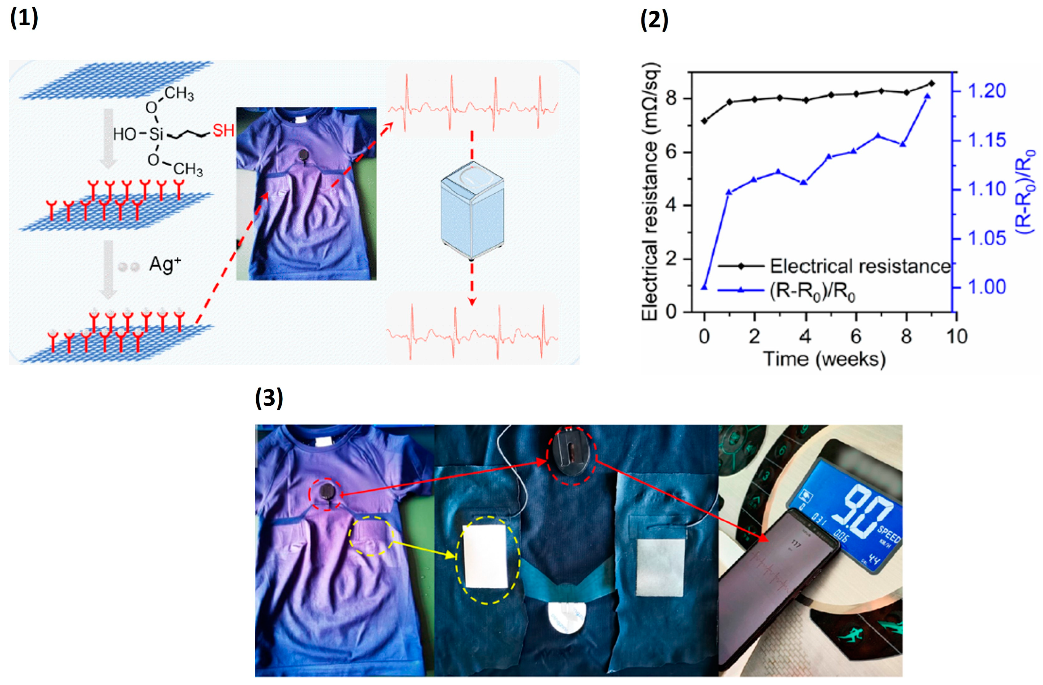 Biosensors 13 00679 g007