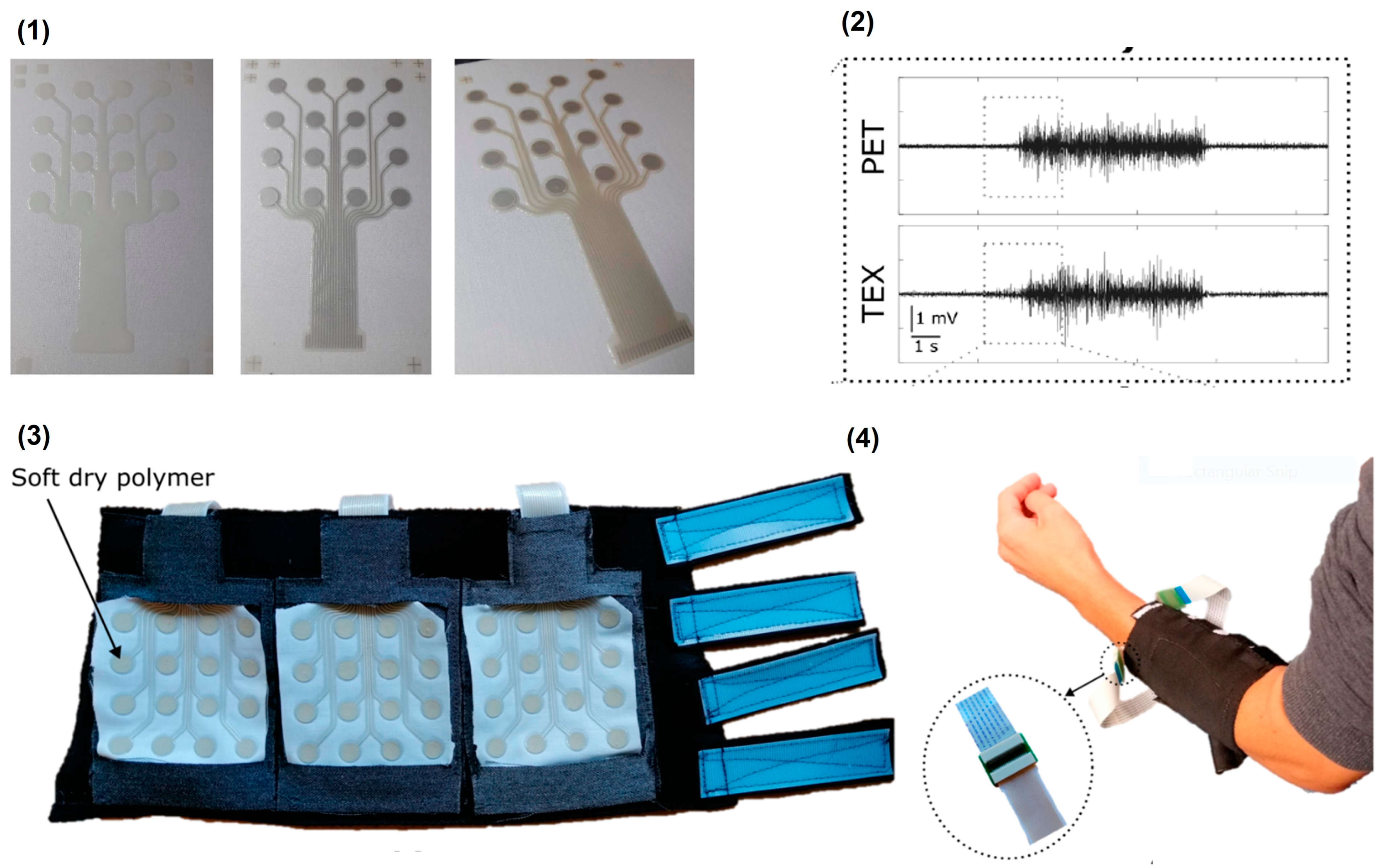 Biosensors 13 00679 g013