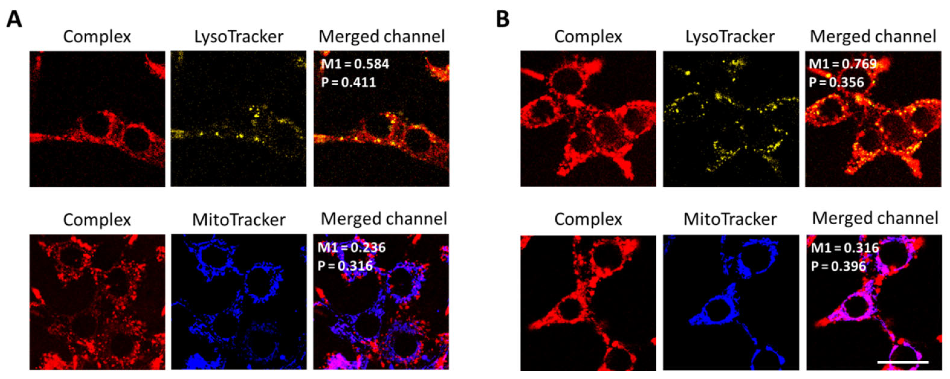 Biosensors 13 00680 g007 Biosensors 13 00680 g007