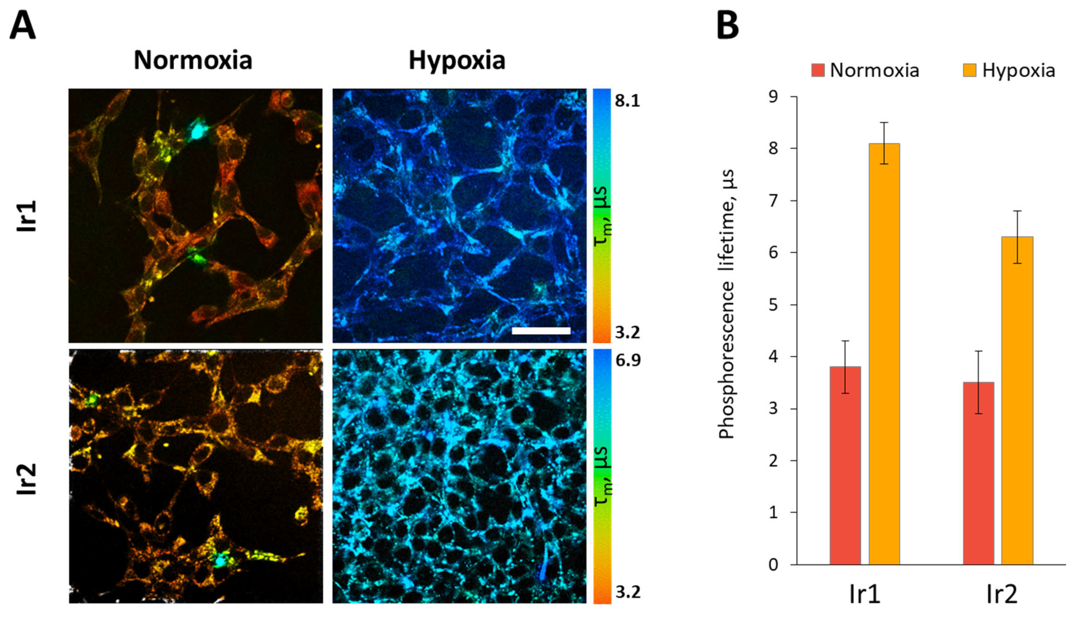 Biosensors 13 00680 g008 Biosensors 13 00680 g008