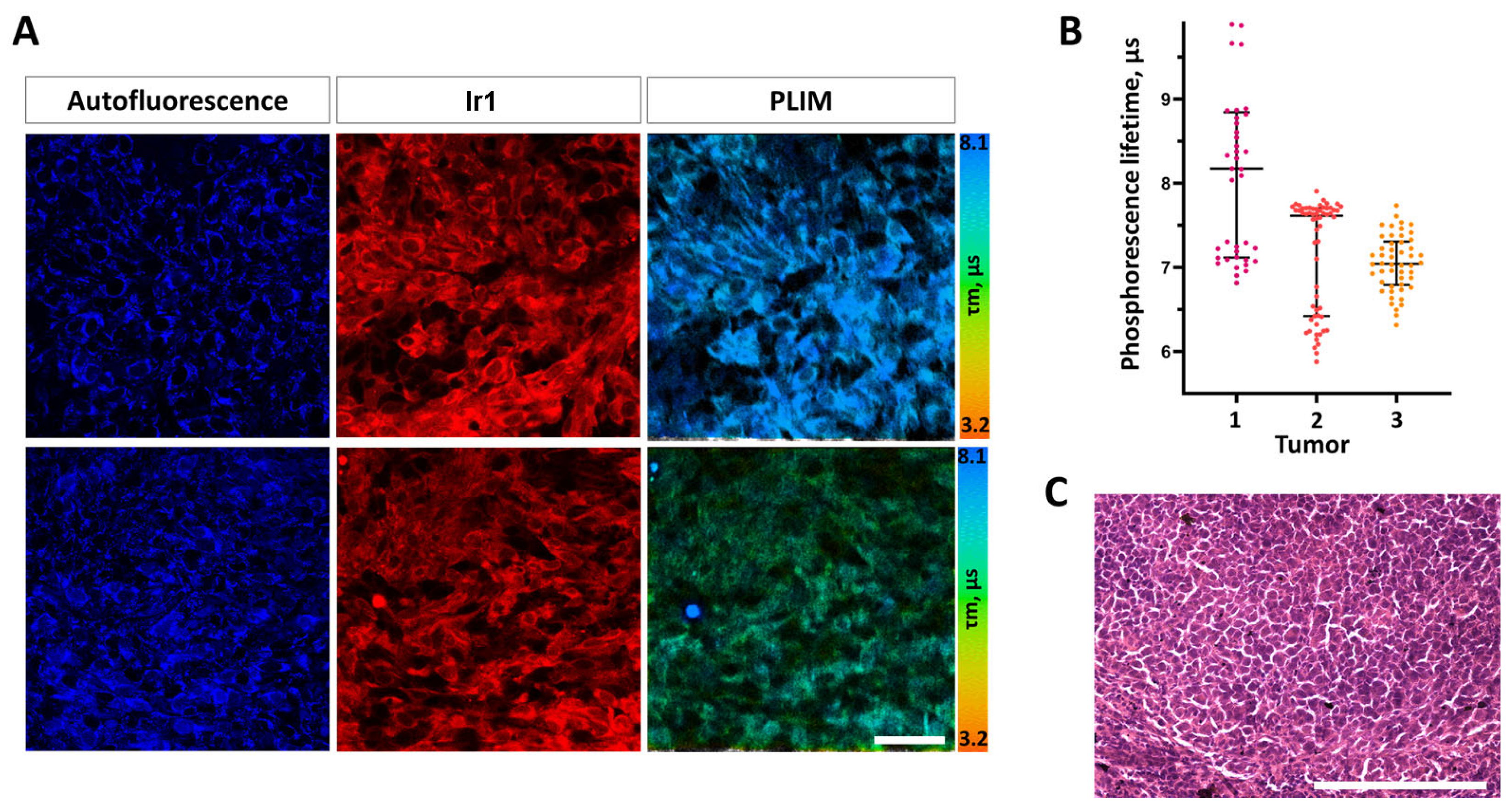 Biosensors 13 00680 g009 Biosensors 13 00680 g009