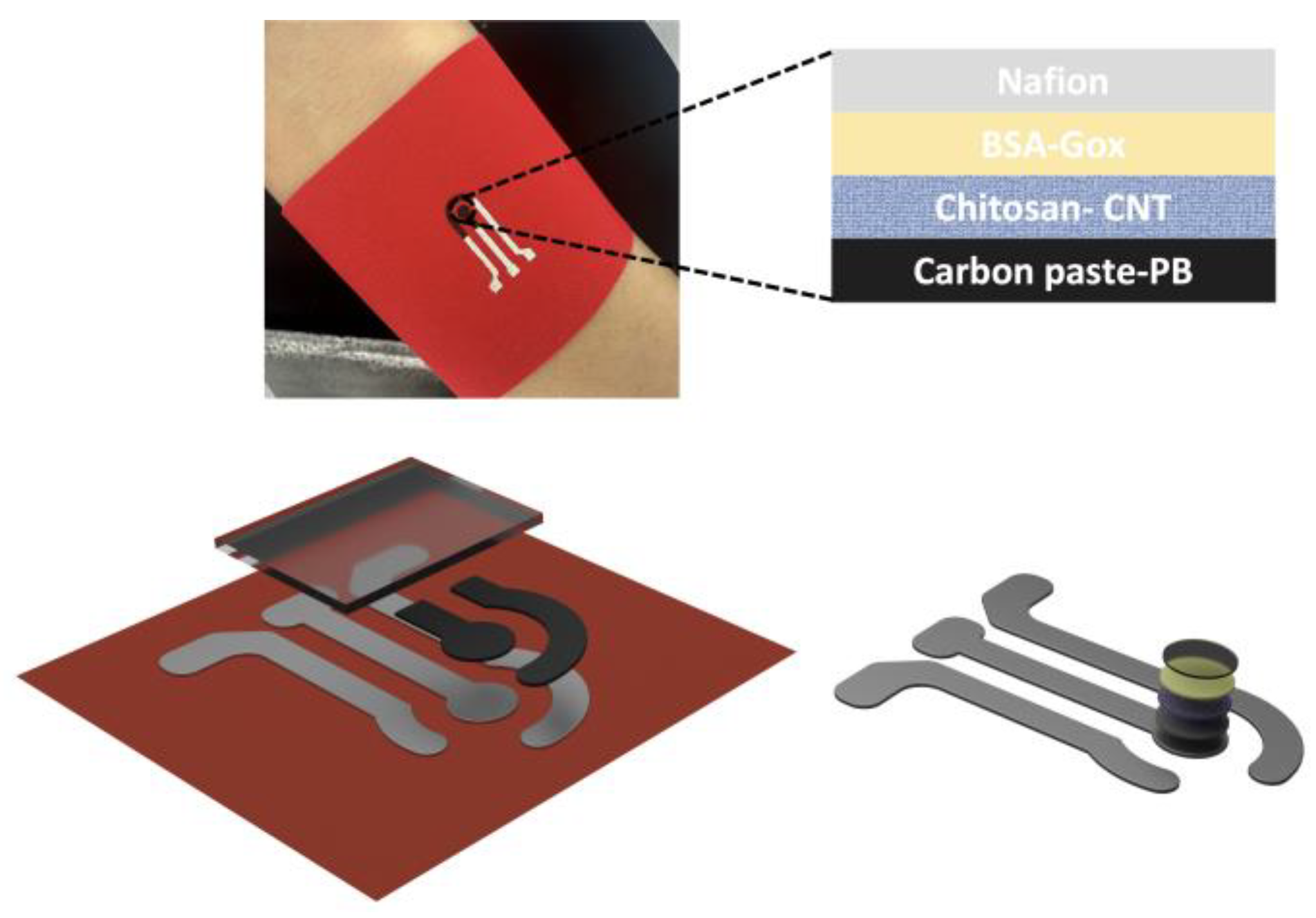 Biosensors 13 00684 g001