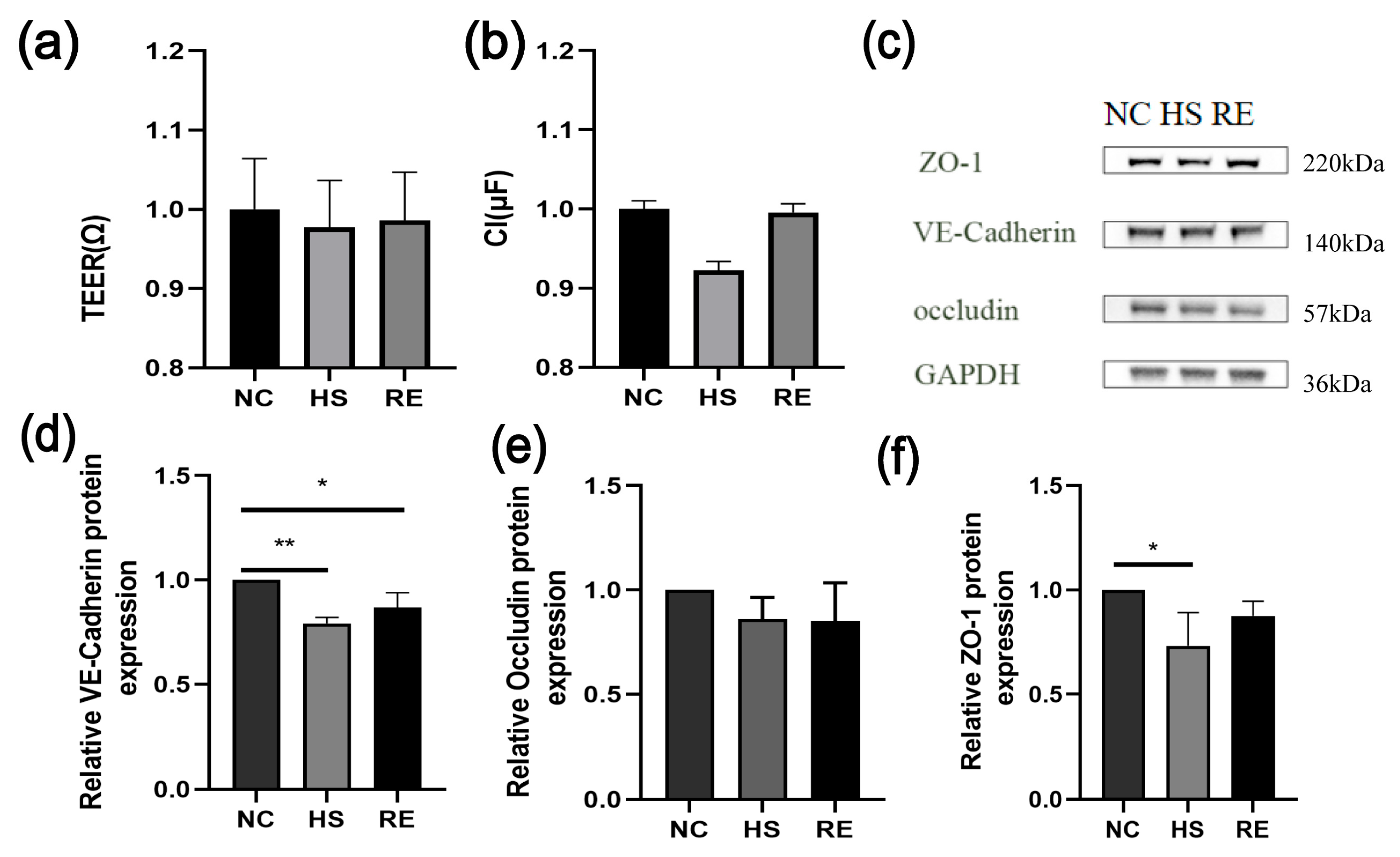 Biosensors 13 00686 g005