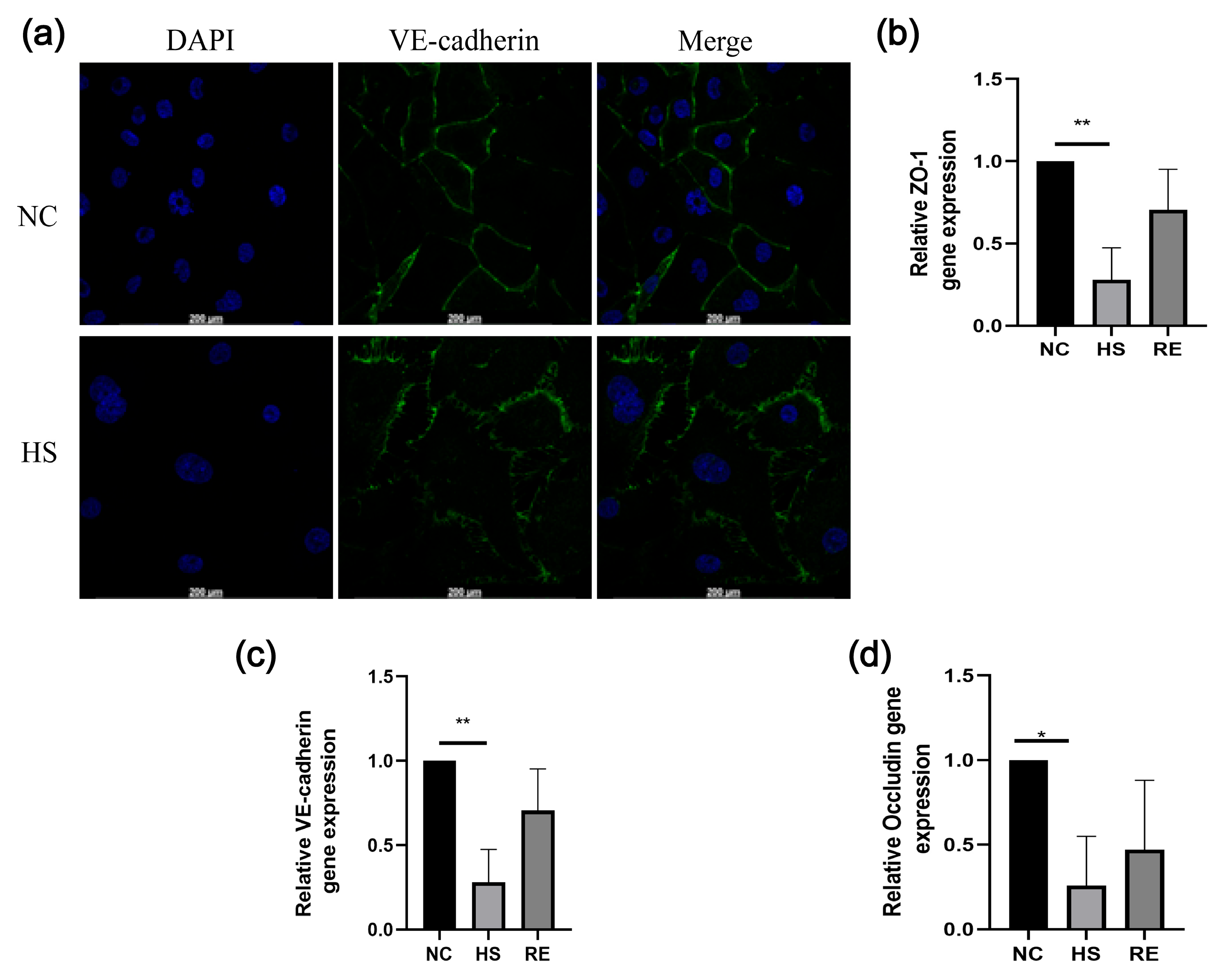 Biosensors 13 00686 g006
