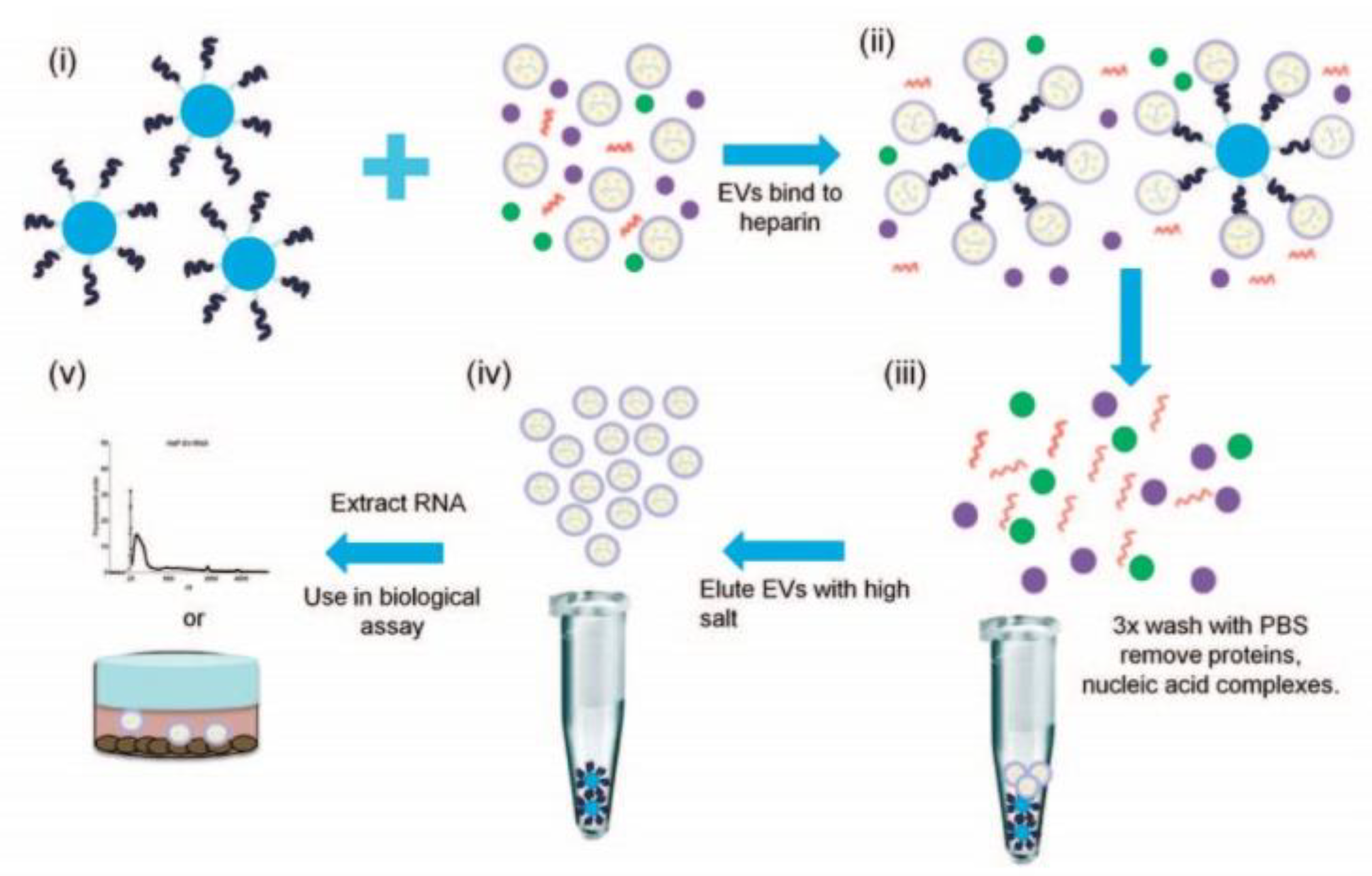 Biosensors 13 00688 g002