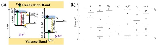 Biosensors 13 00691 g001