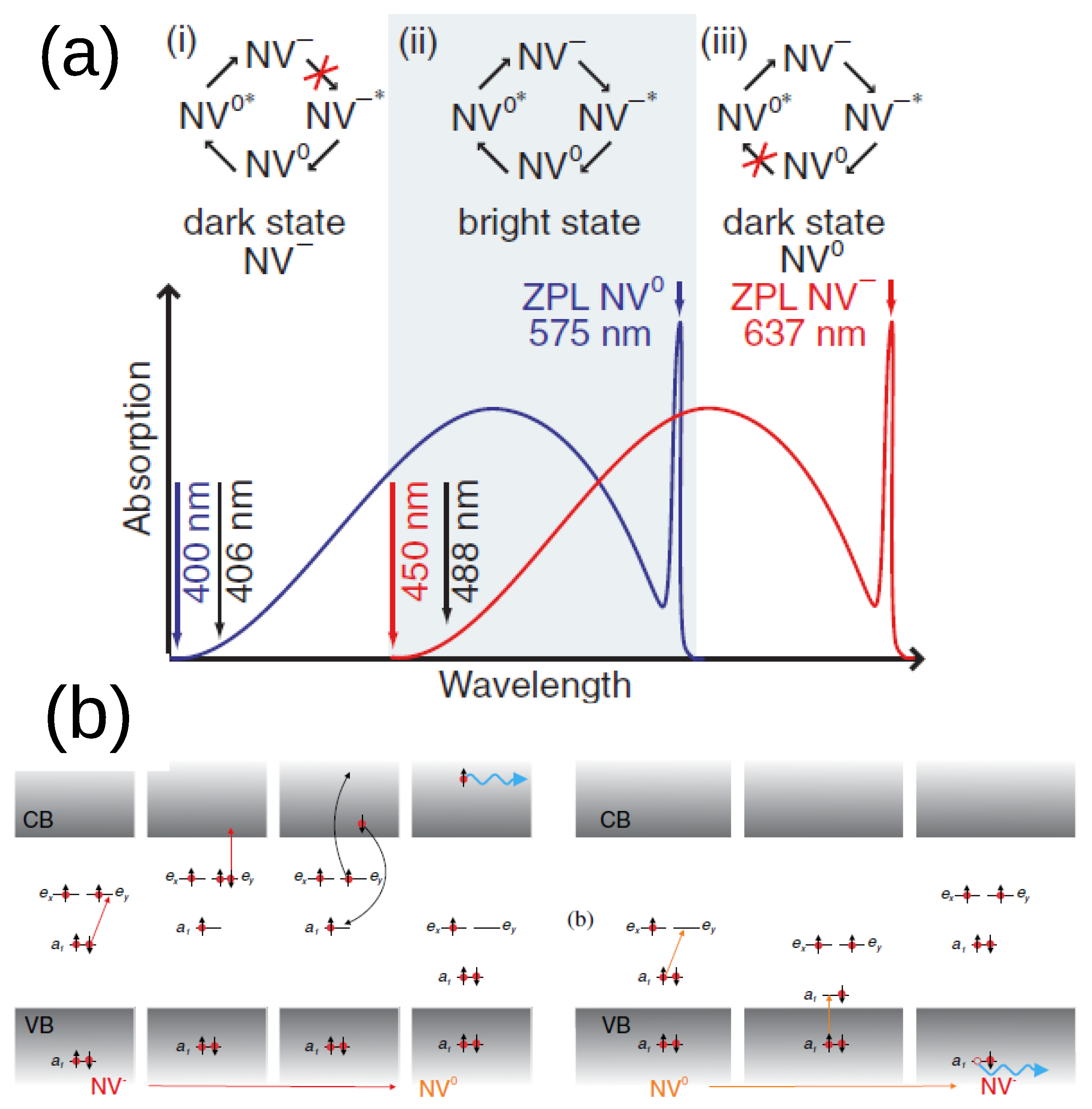 Biosensors 13 00691 g005