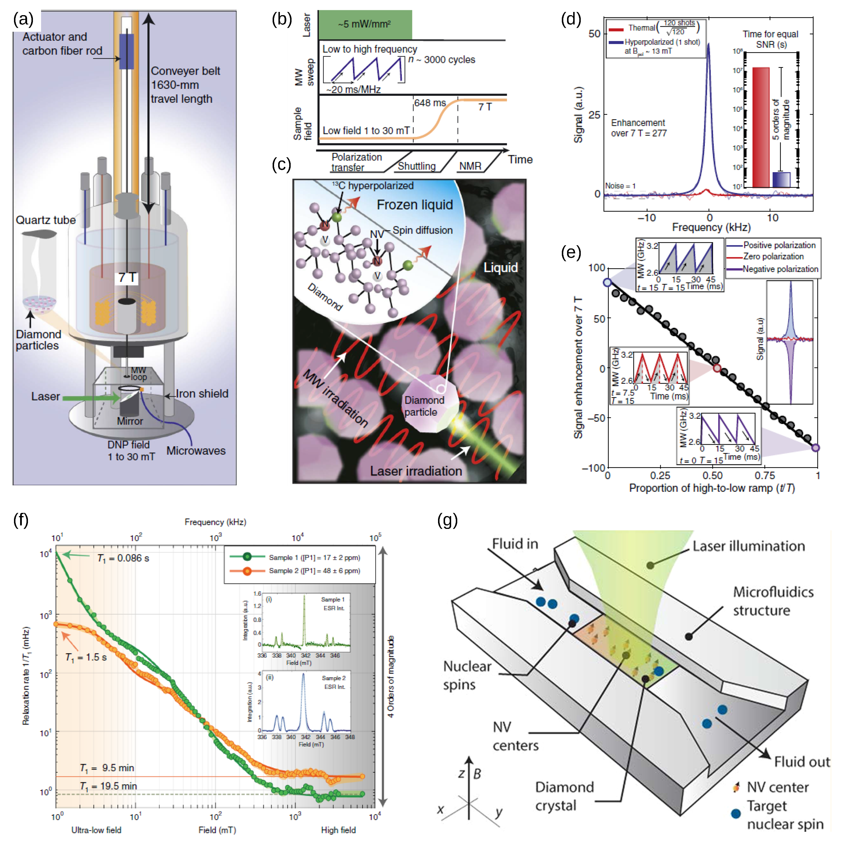 Biosensors 13 00691 g009