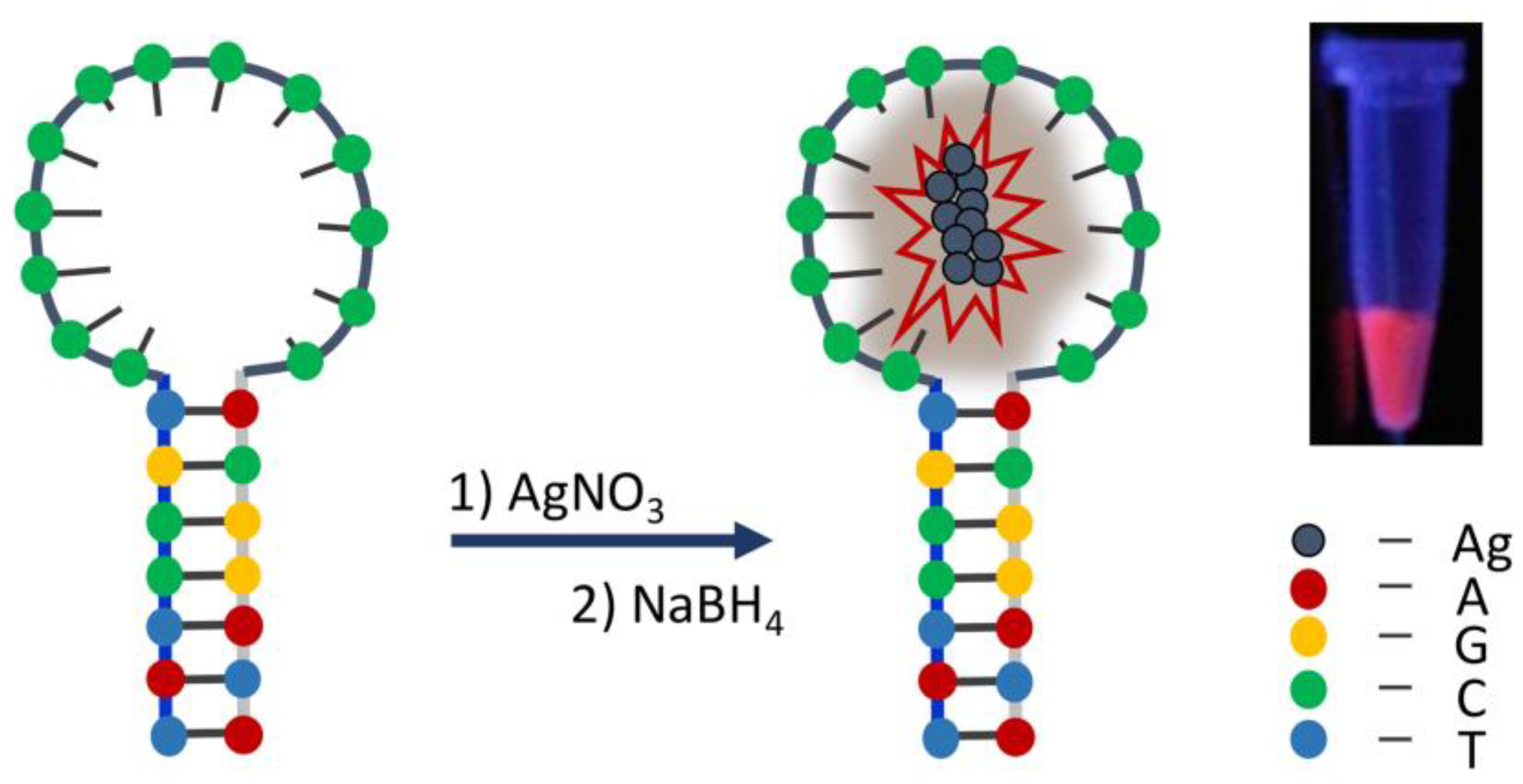 Biosensors 13 00693 g004