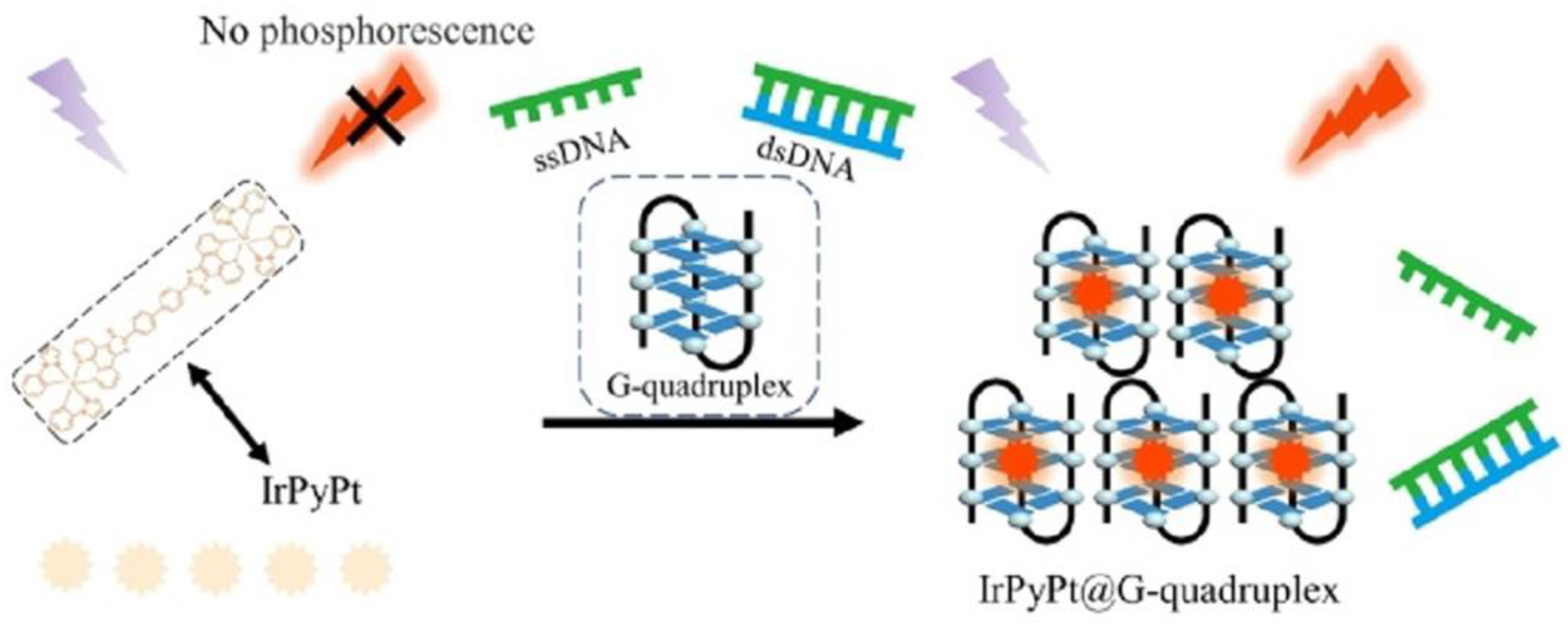 Biosensors 13 00693 g005