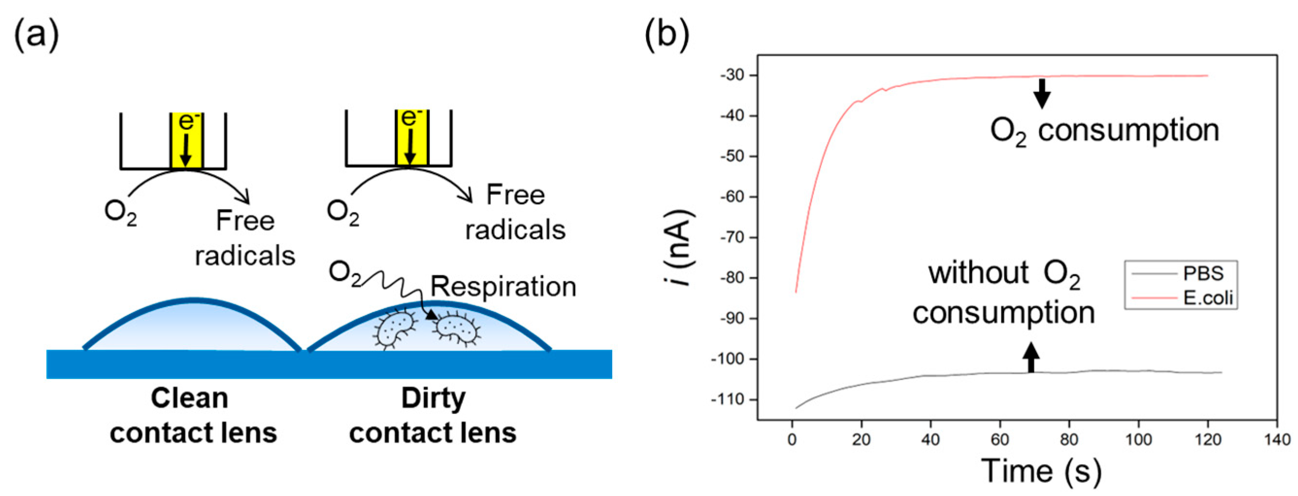 Biosensors 13 00695 g005