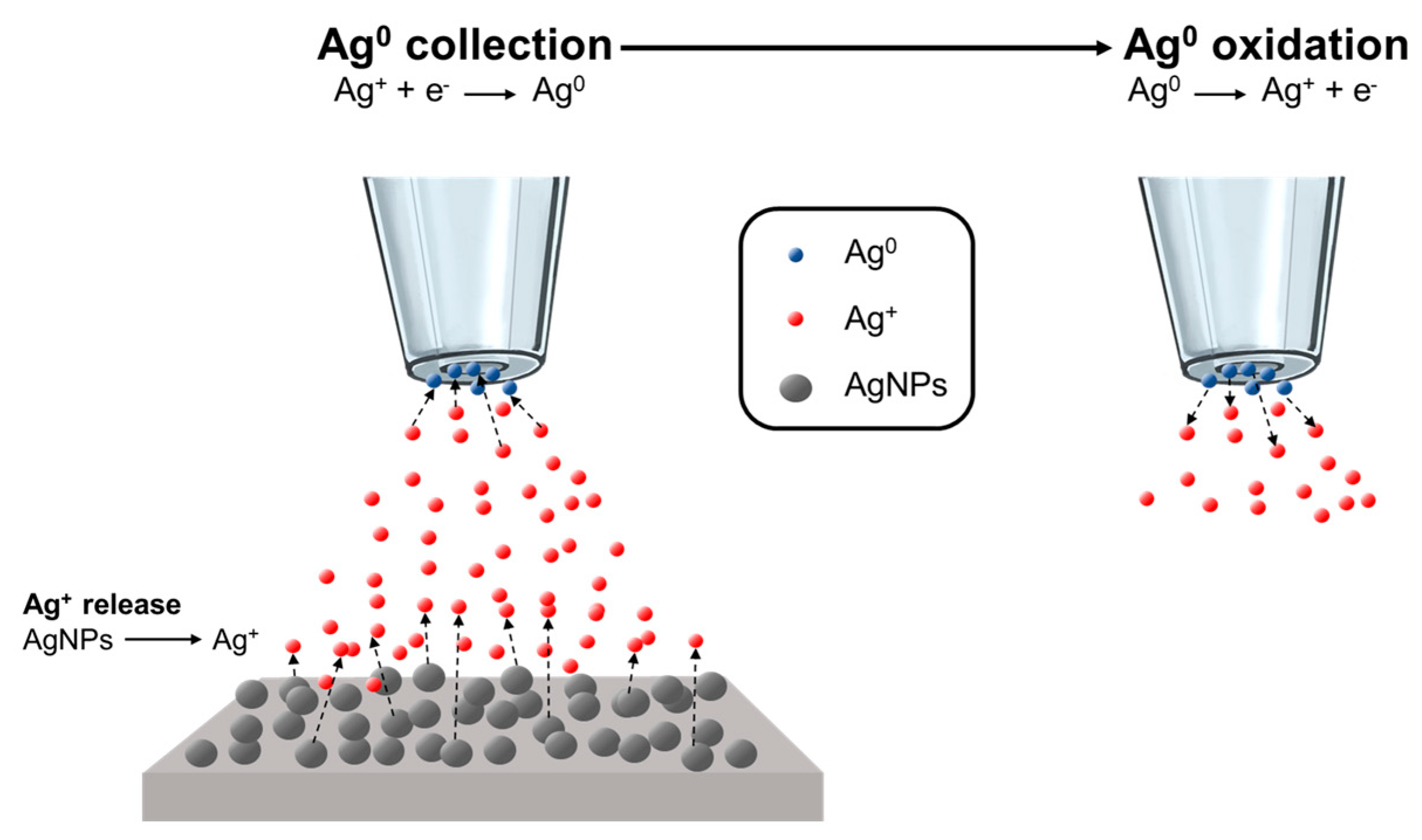 Biosensors 13 00695 g006