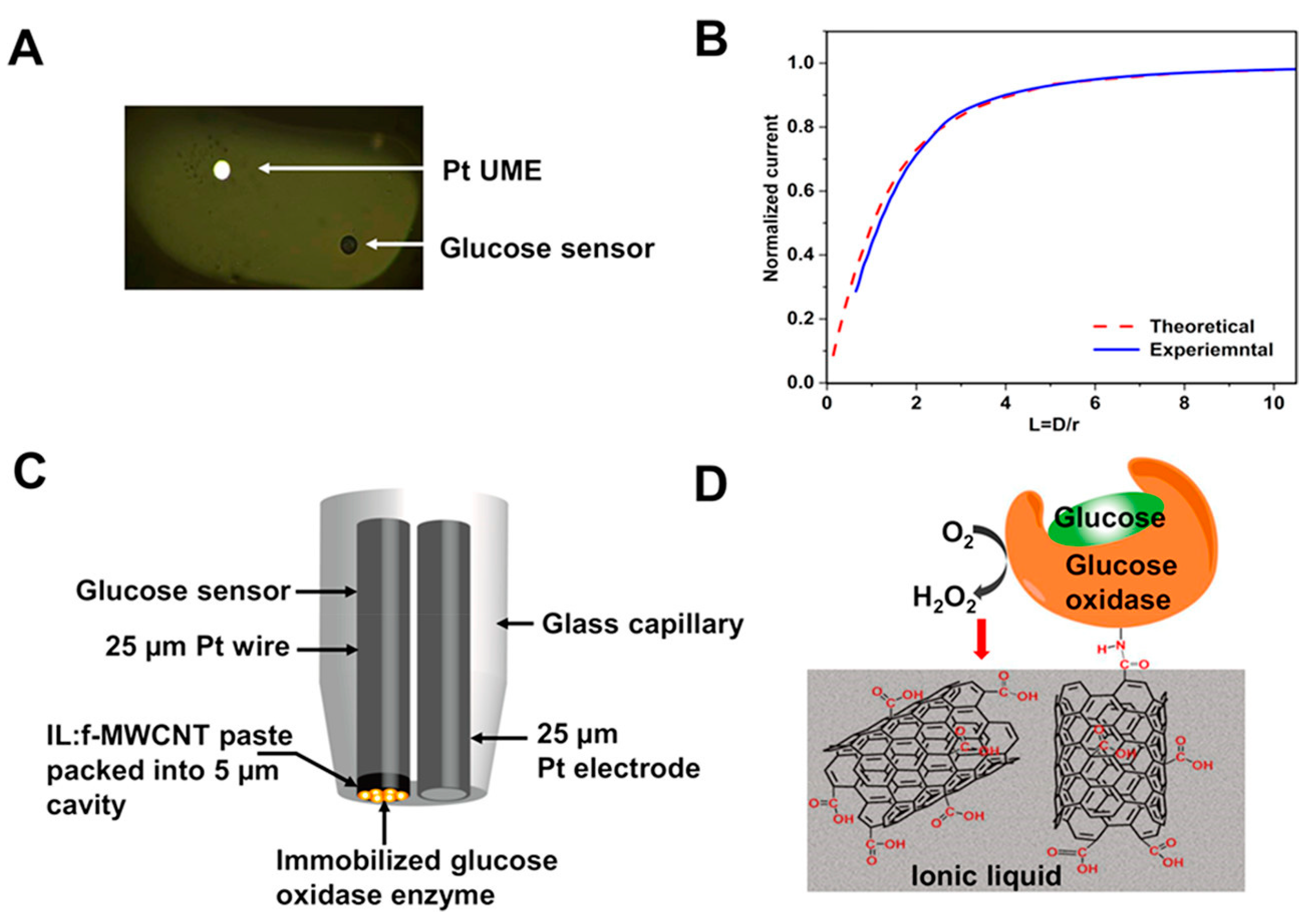 Biosensors 13 00695 g008