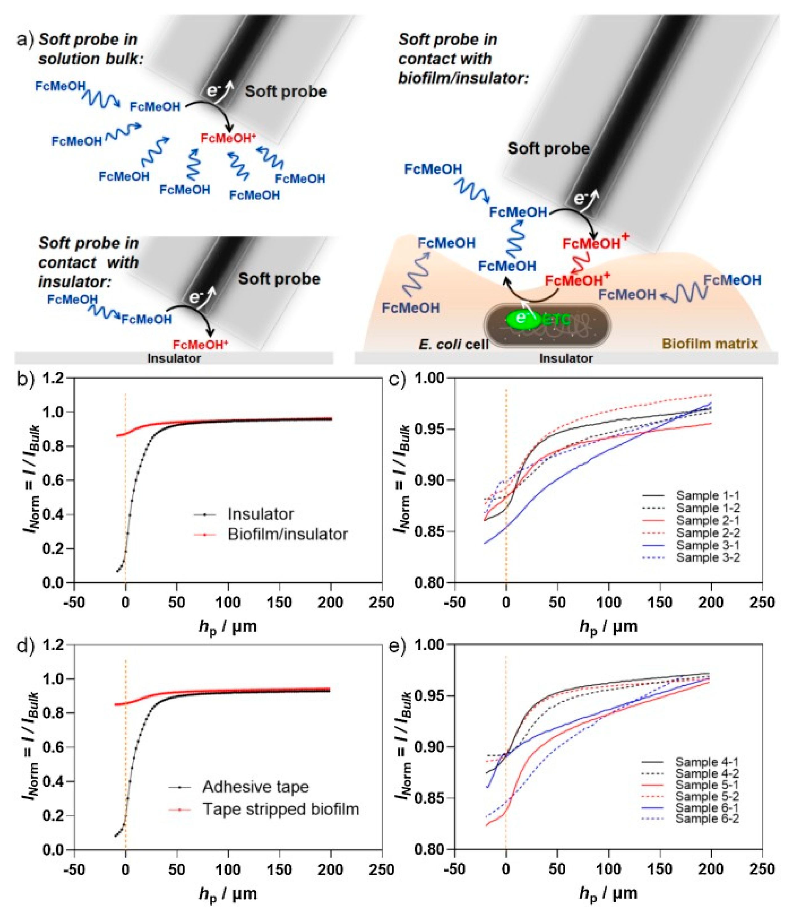 Biosensors 13 00695 g009