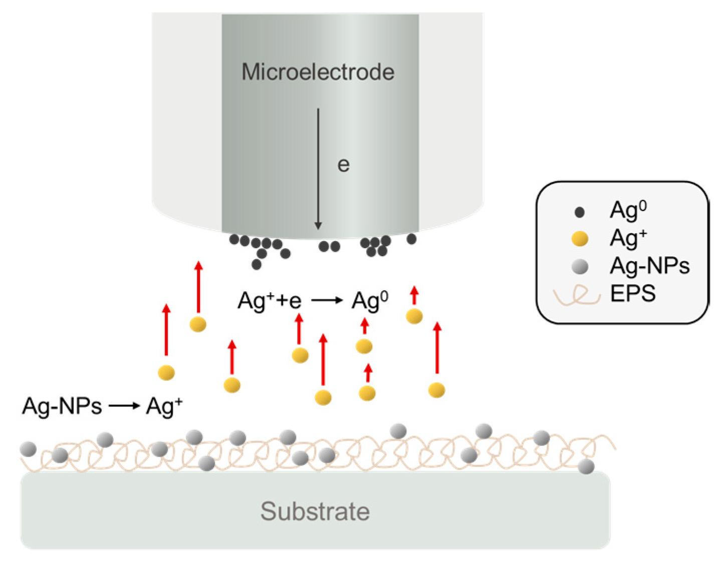 Biosensors 13 00695 g010
