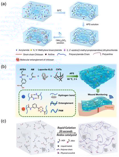 Biosensors 13 00696 g002