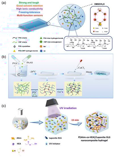 Biosensors 13 00696 g003