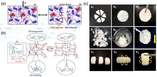 Biosensors 13 00696 g005