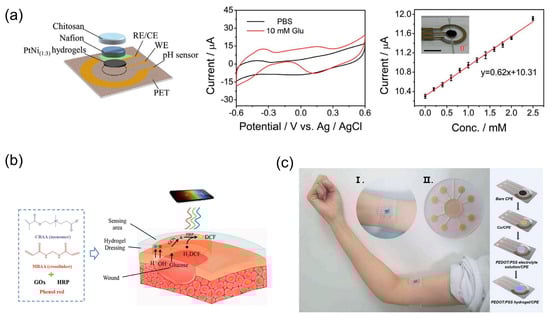 Biosensors 13 00696 g009