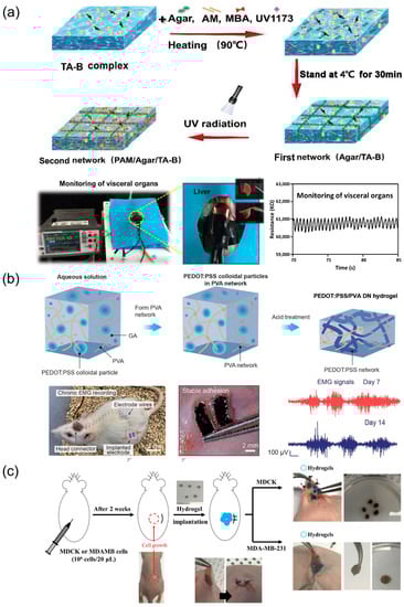 Biosensors 13 00696 g010