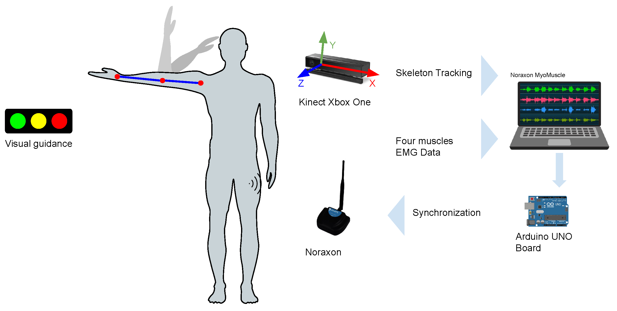 Biosensors 13 00697 g001