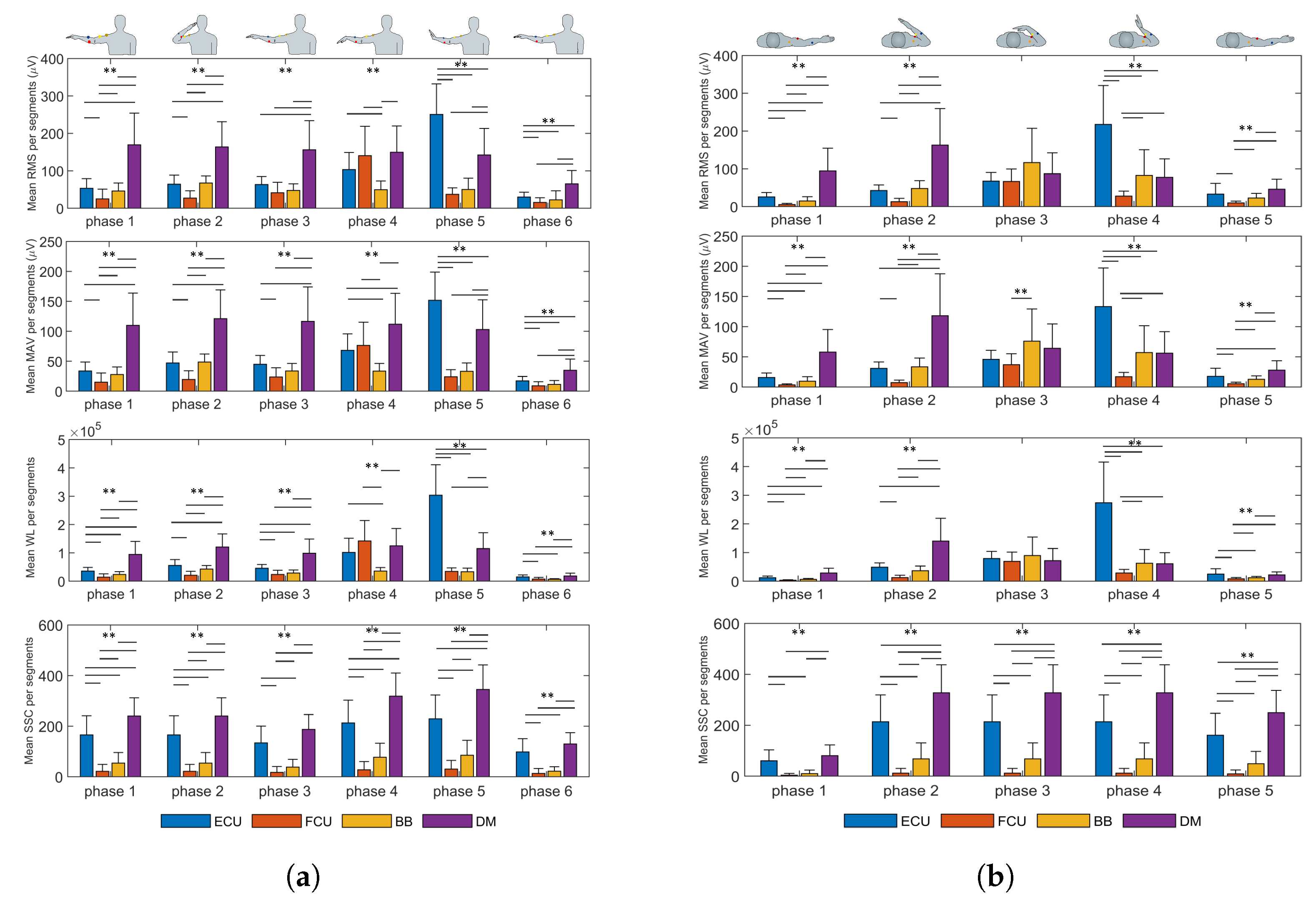 Biosensors 13 00697 g007