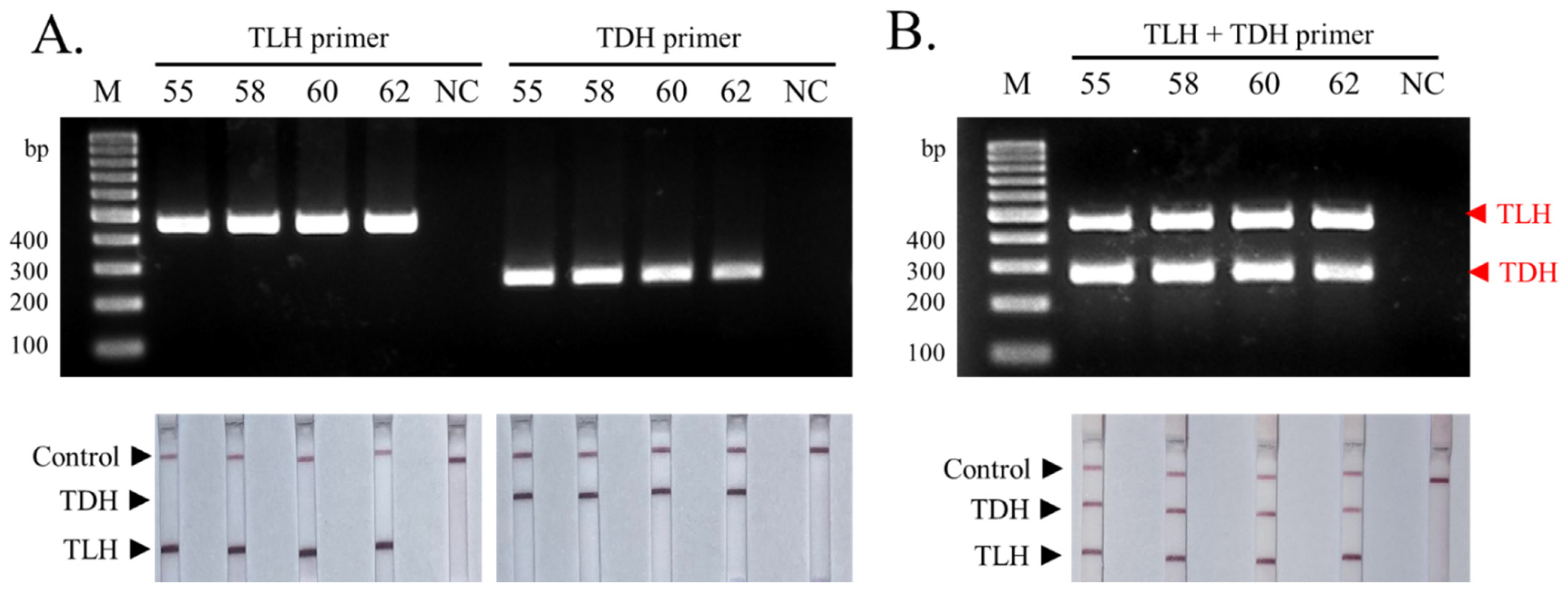 Biosensors 13 00698 g002