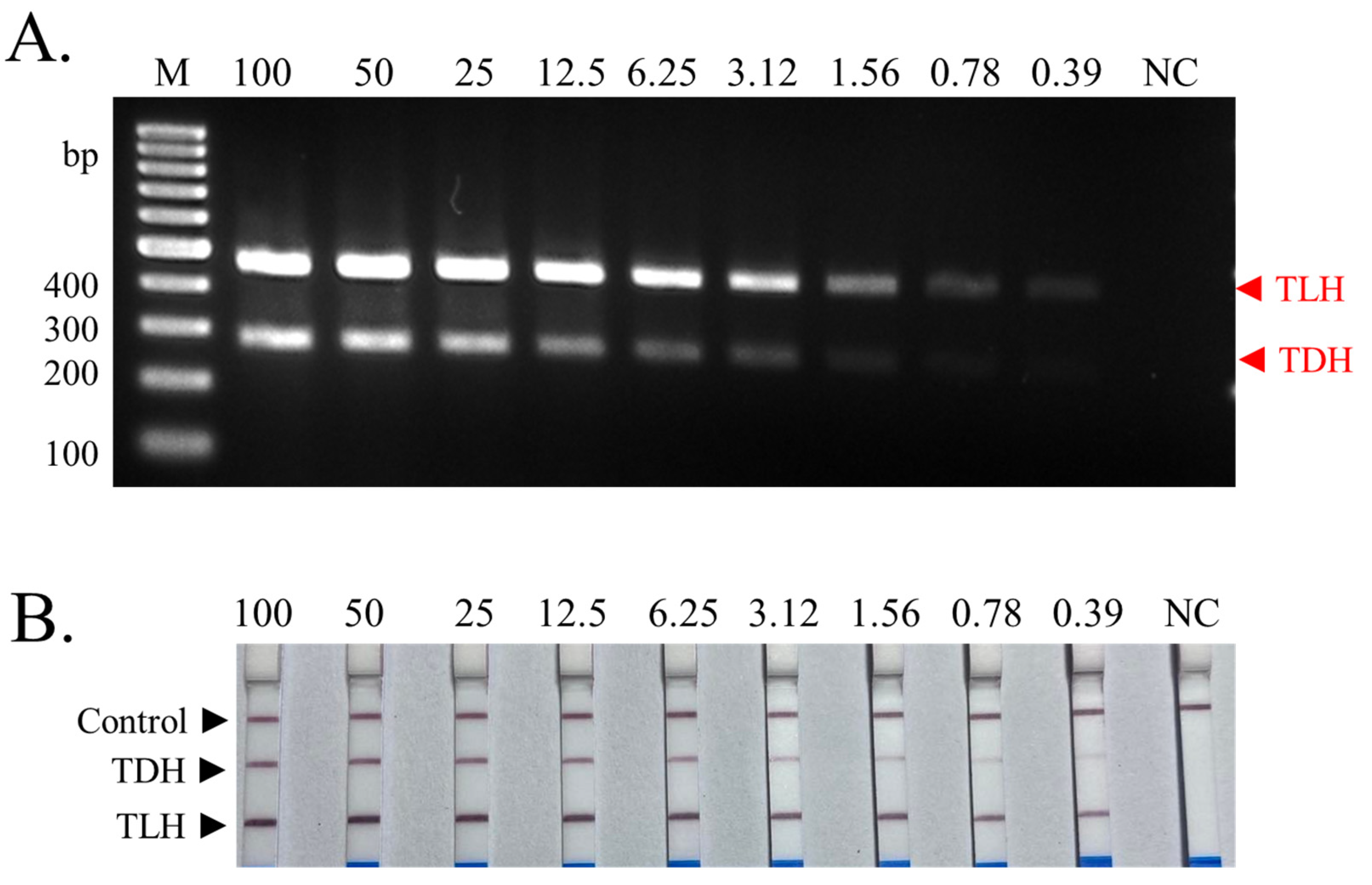 Biosensors 13 00698 g004
