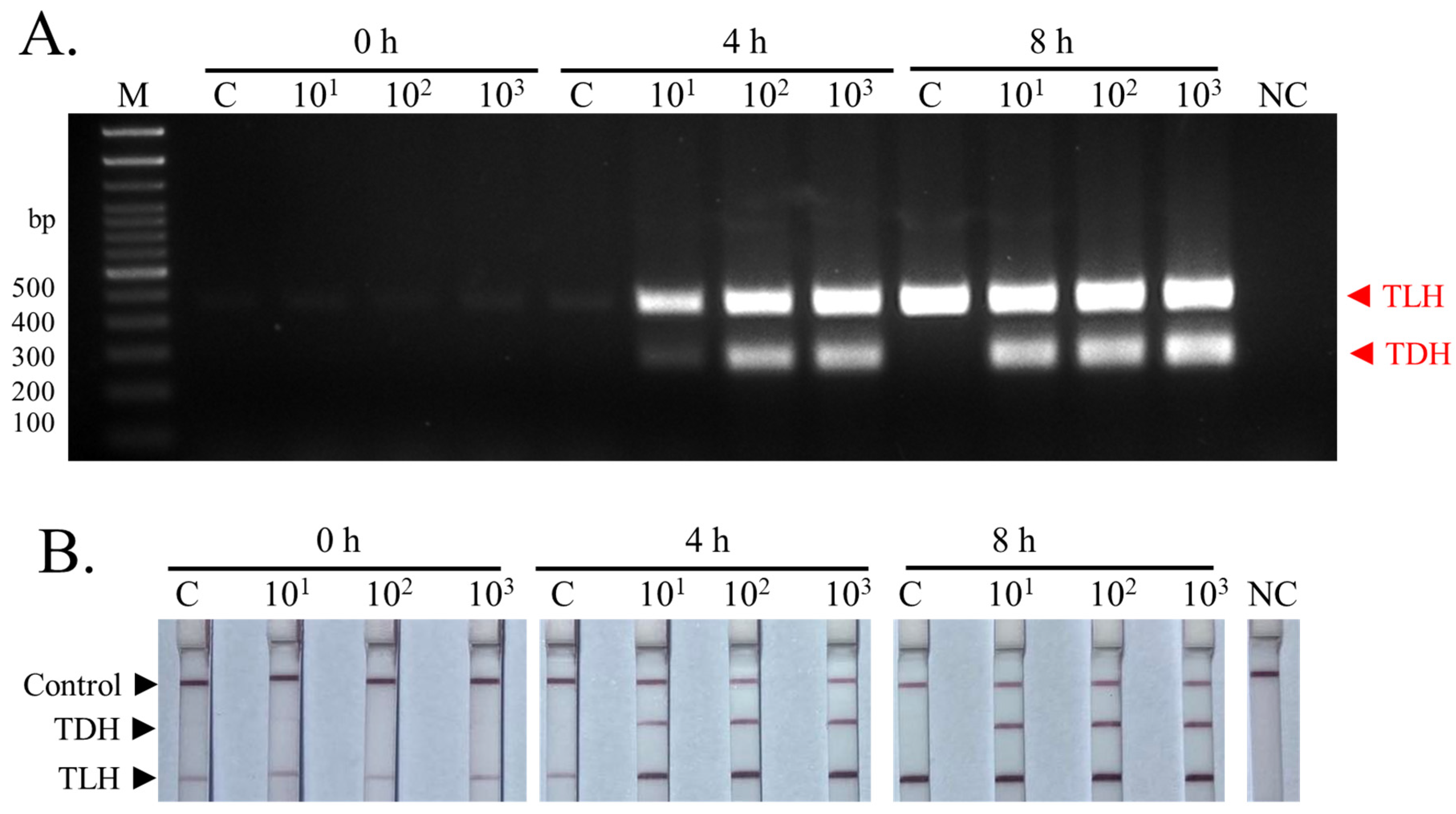 Biosensors 13 00698 g005
