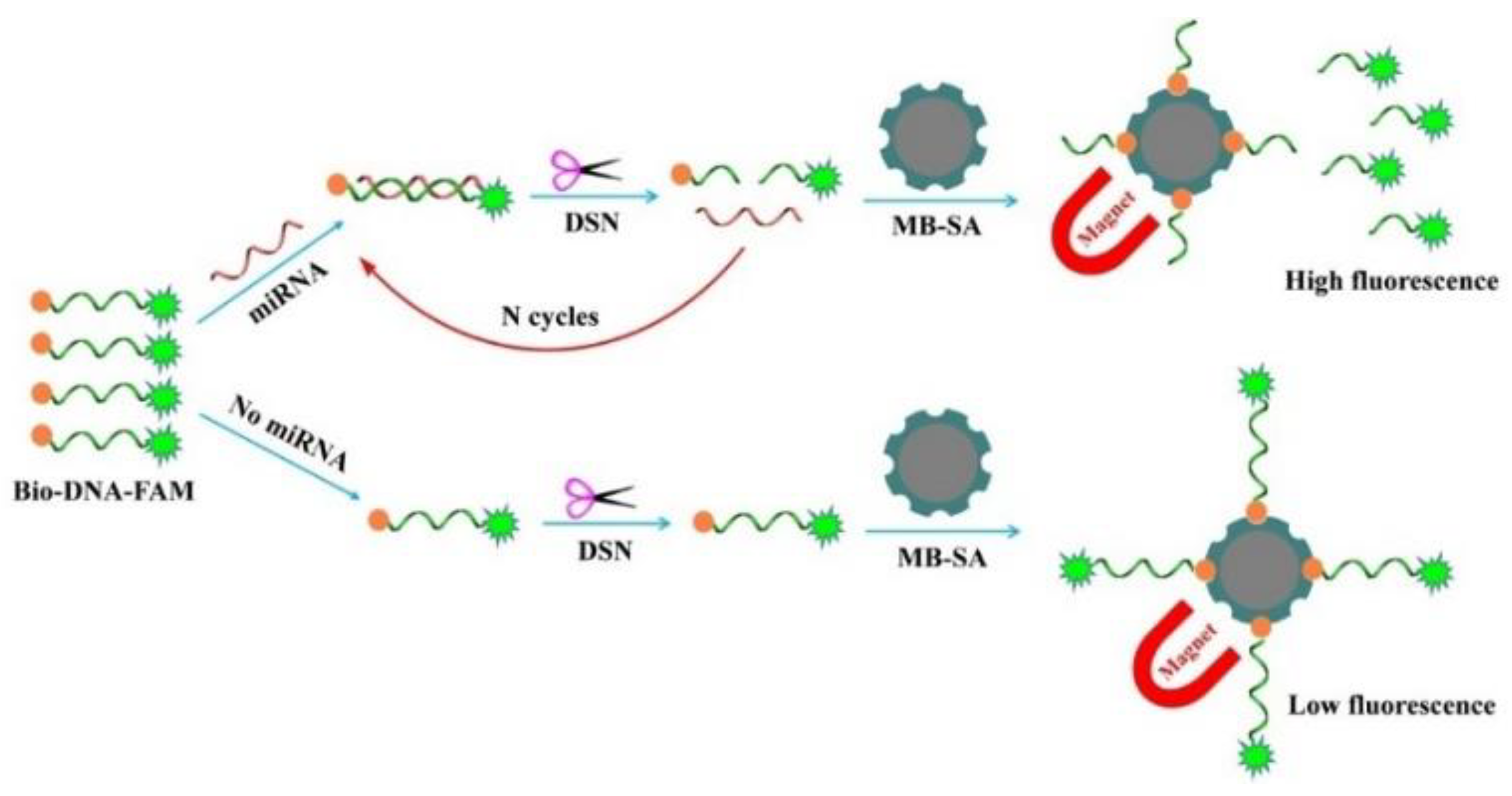 Biosensors 13 00699 sch001