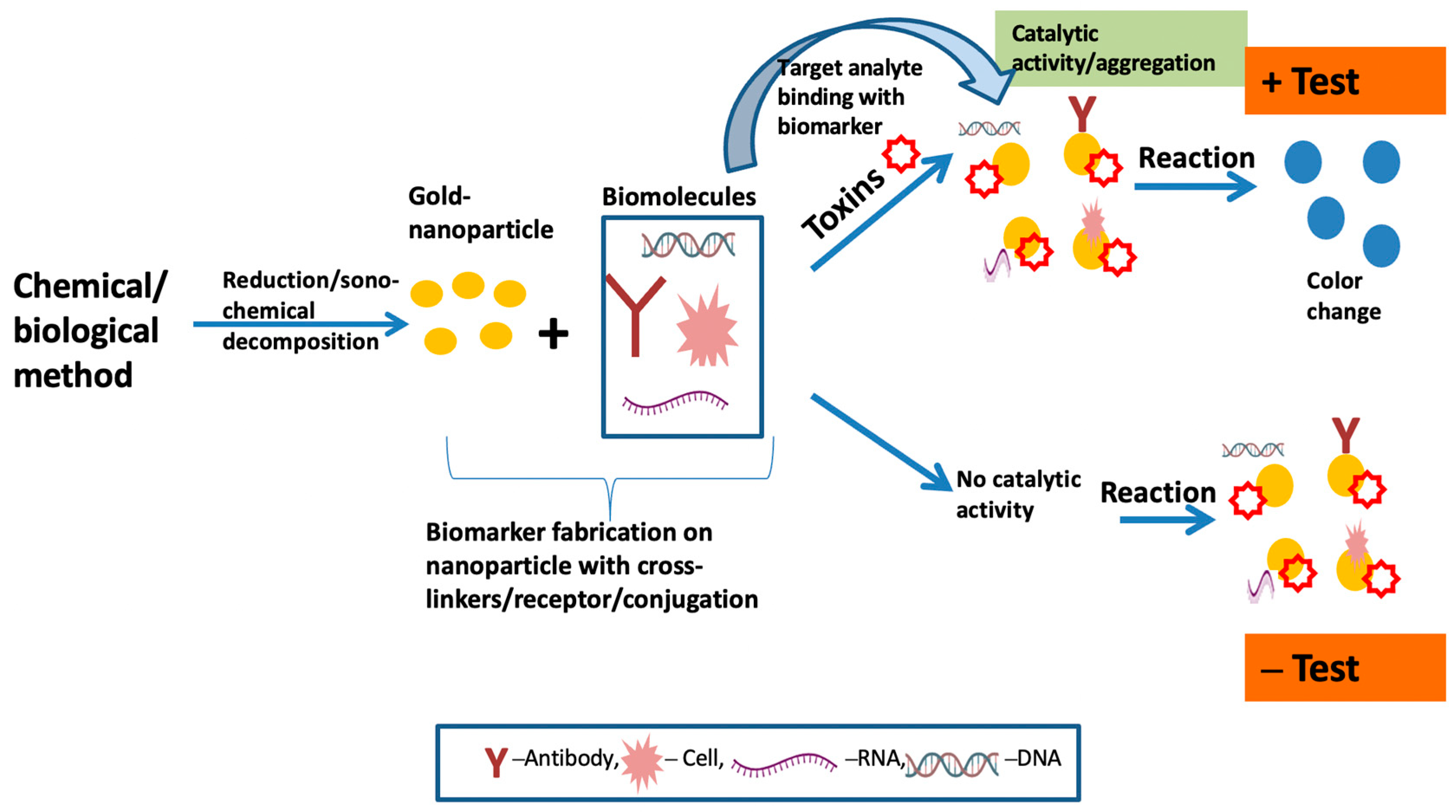 Biosensors 13 00701 g003
