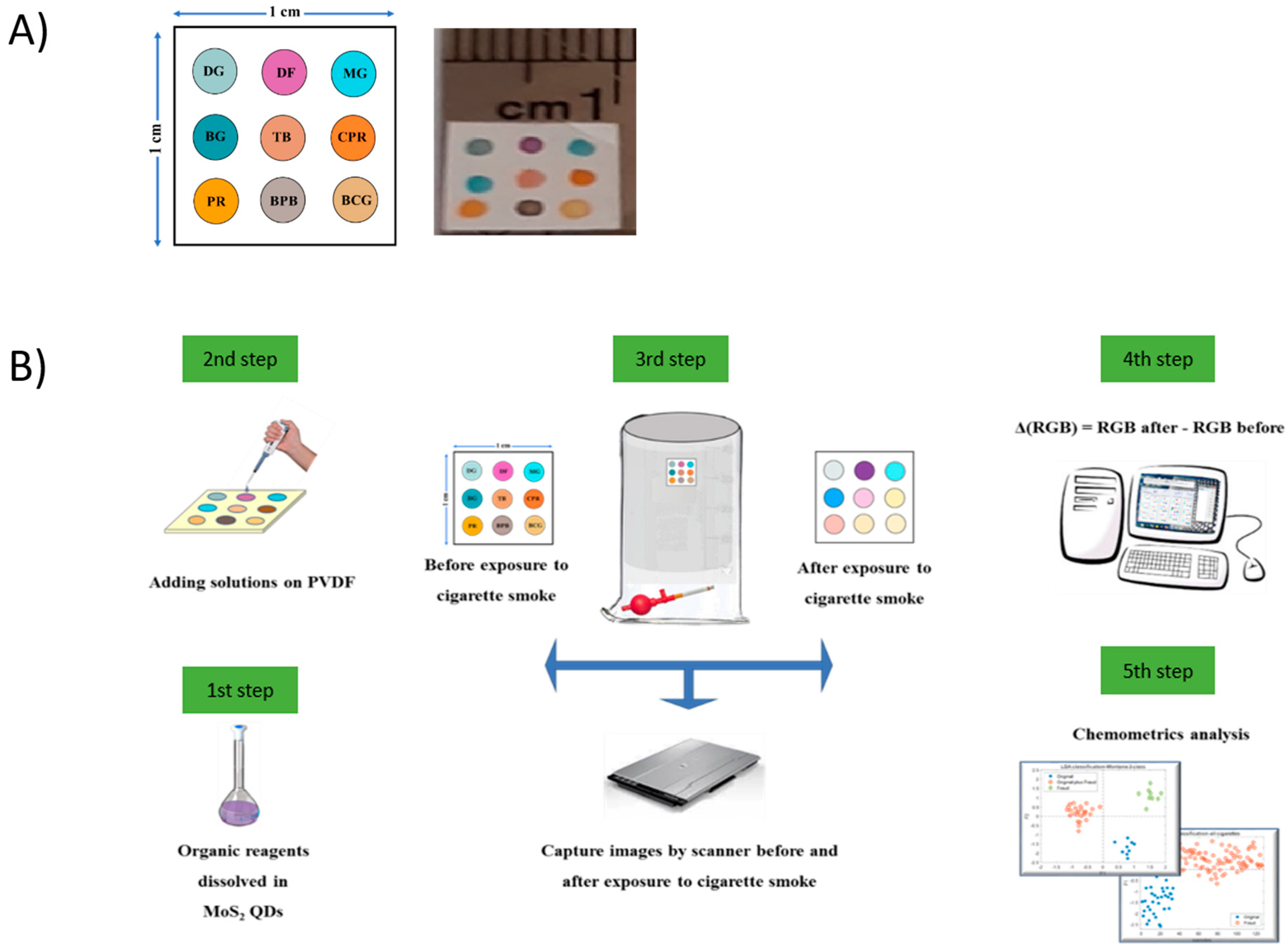 Biosensors 13 00705 sch001