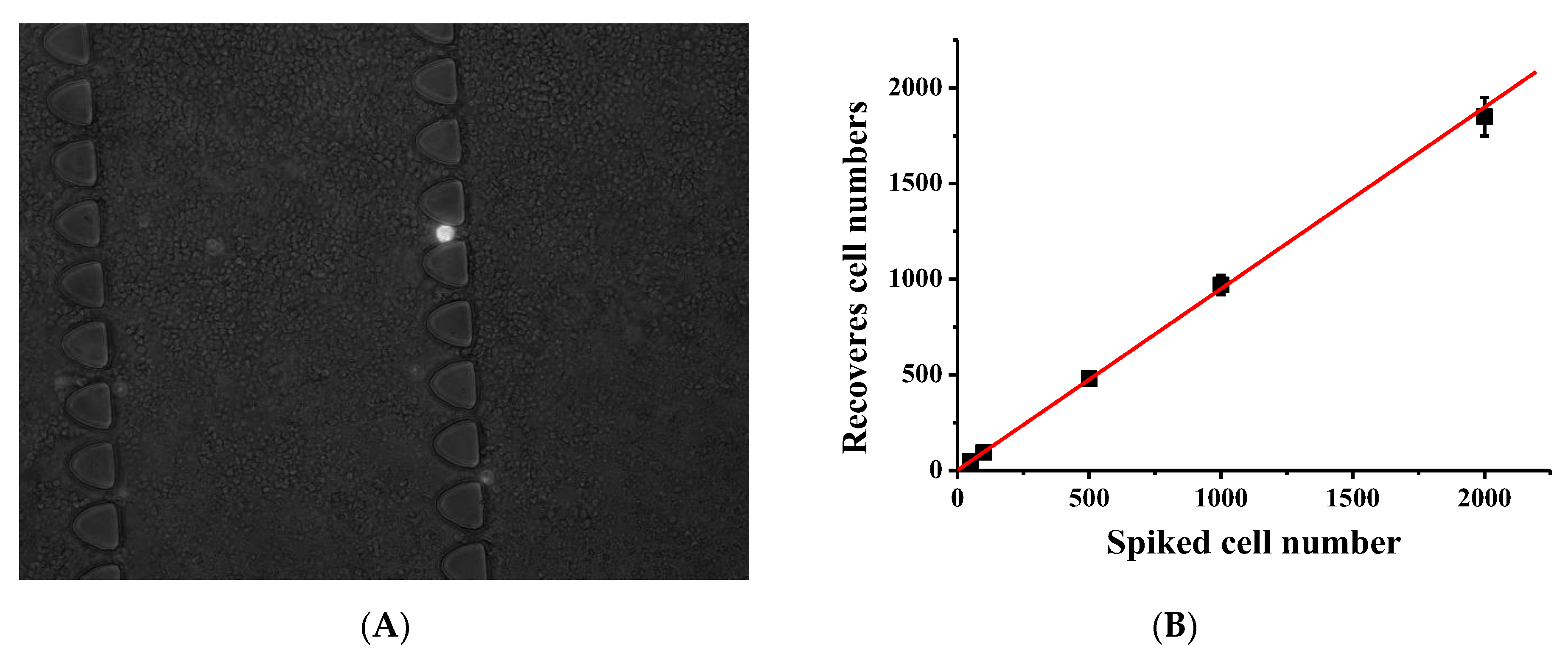 Biosensors 13 00706 g005