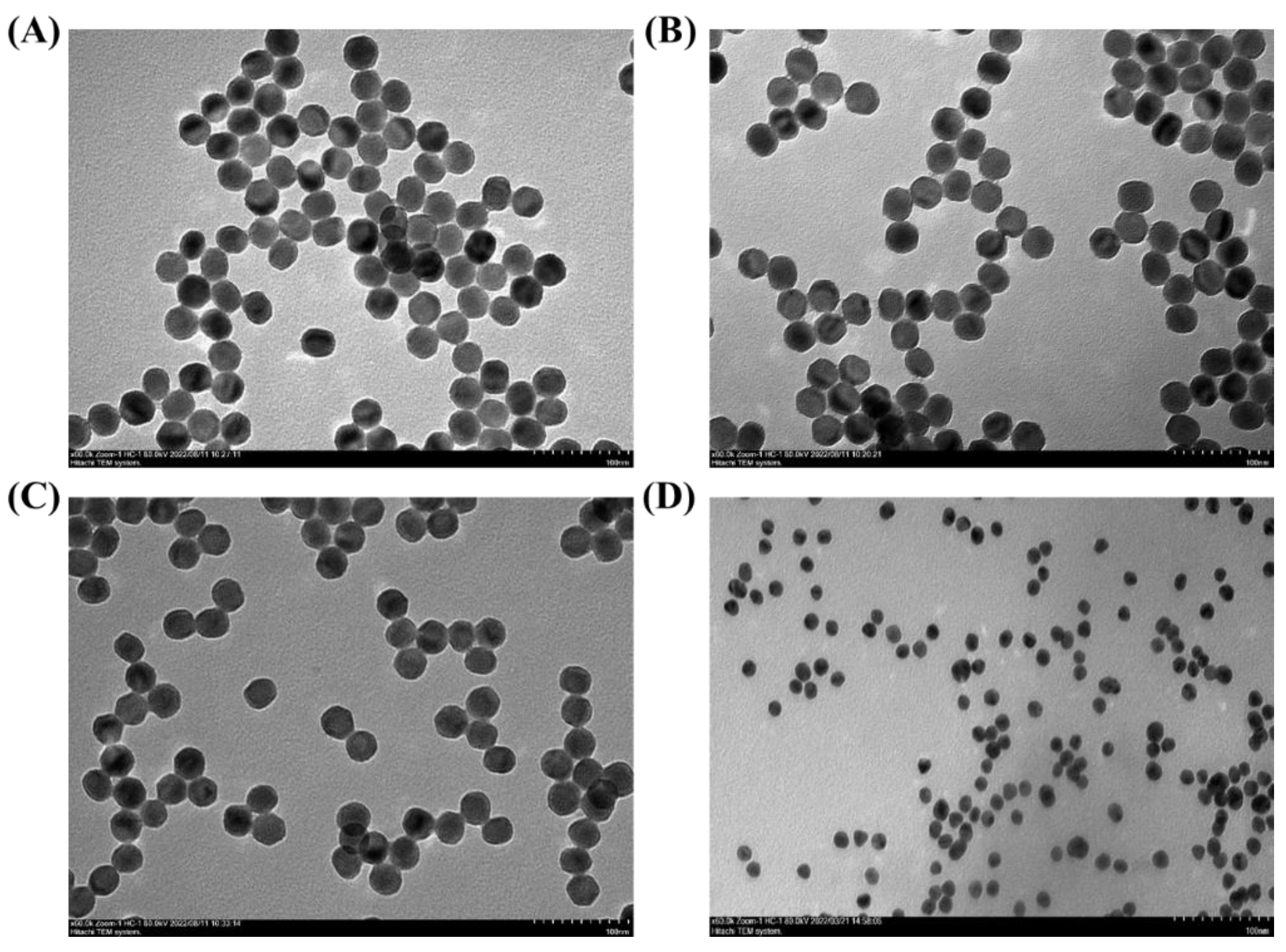 Biosensors 13 00713 g001