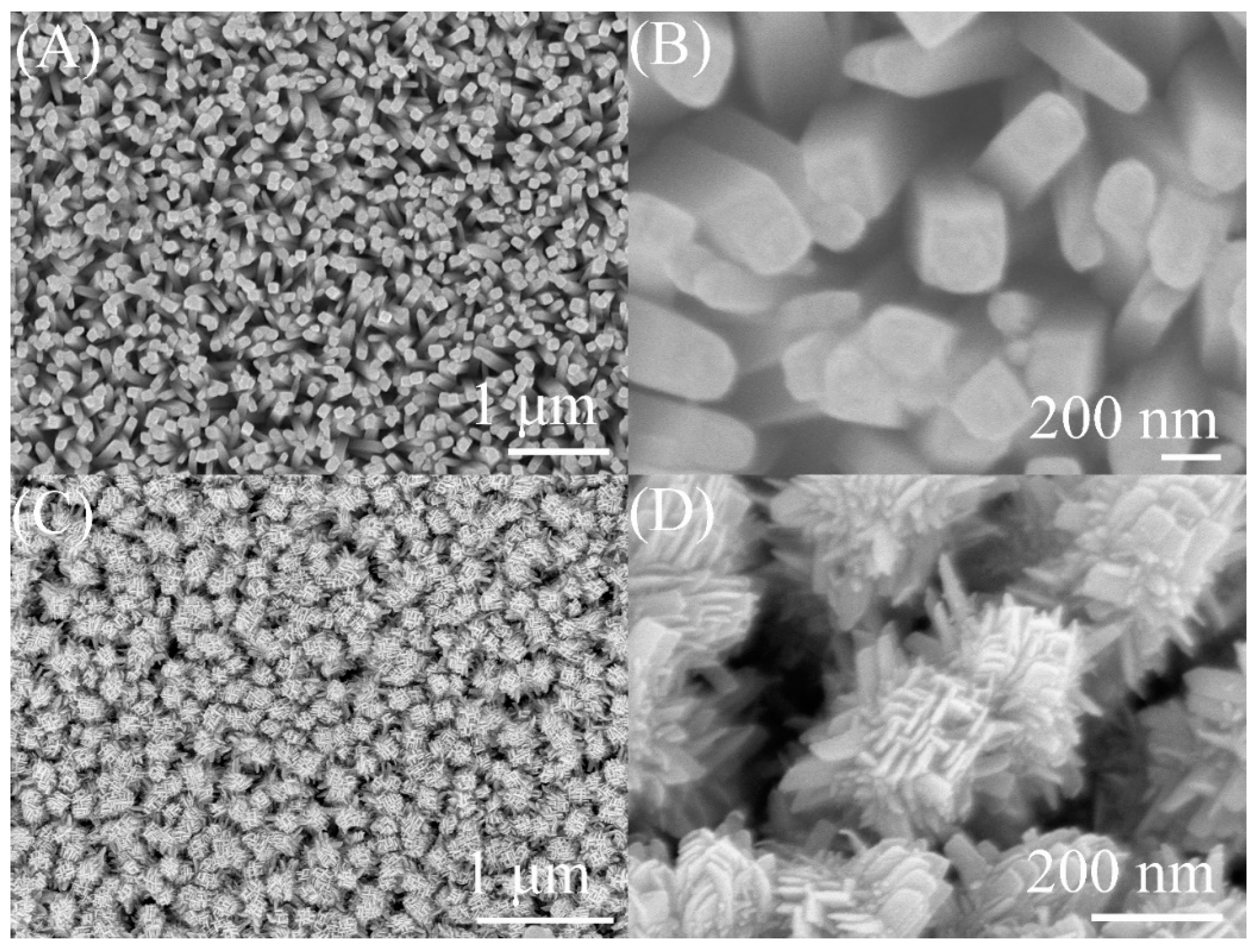 Biosensors 13 00714 g002