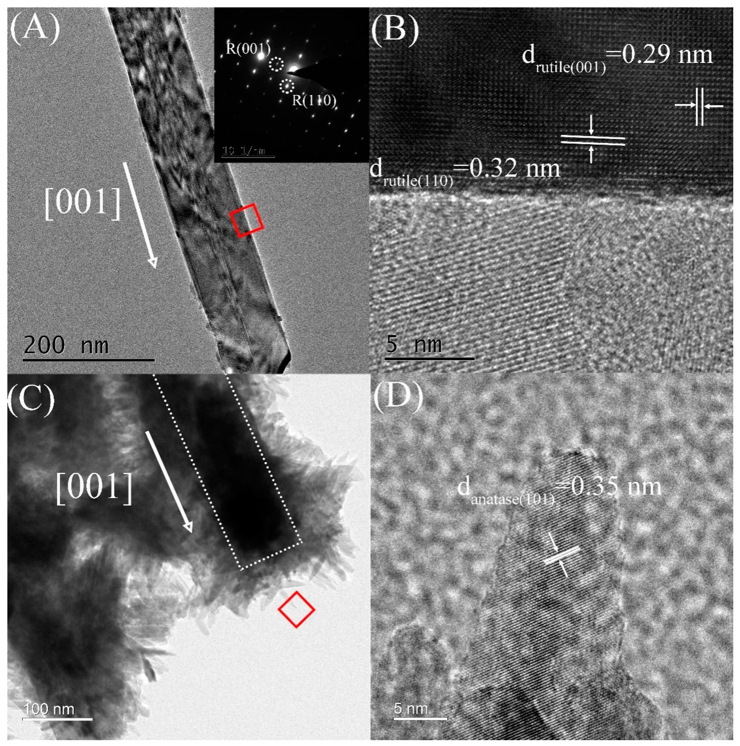 Biosensors 13 00714 g003