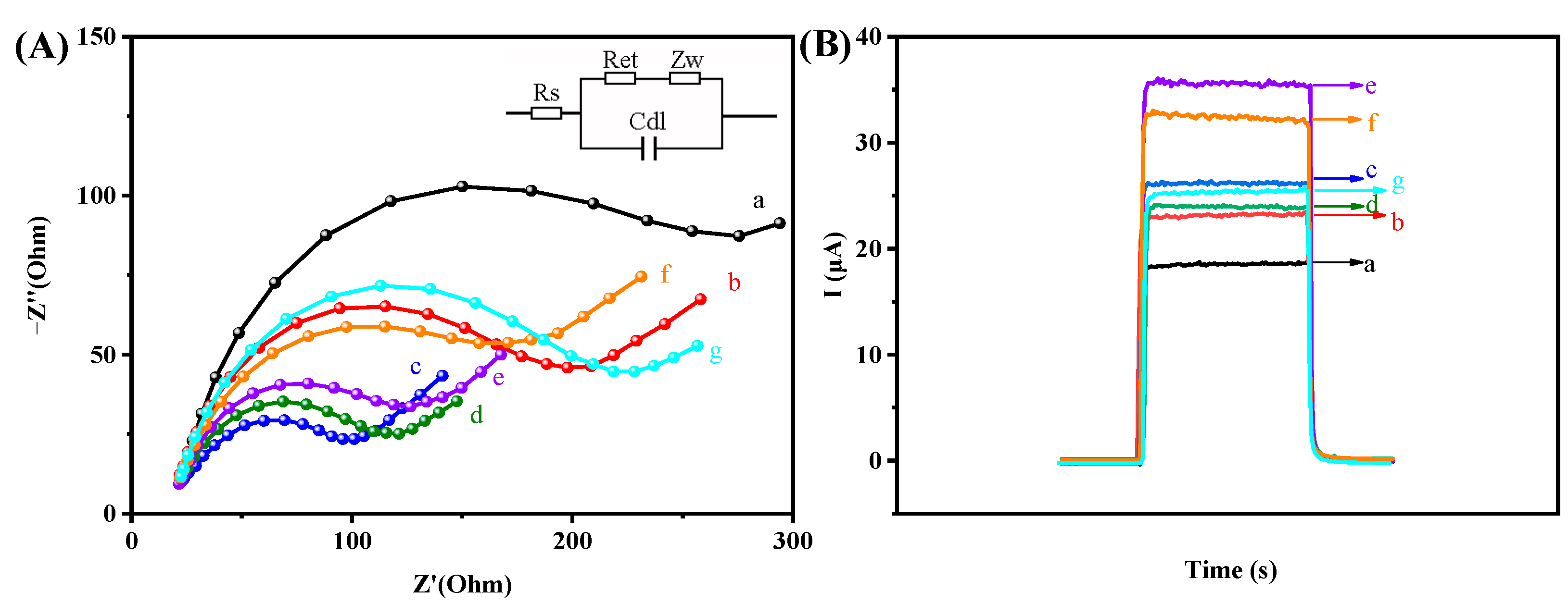 Biosensors 13 00714 g006