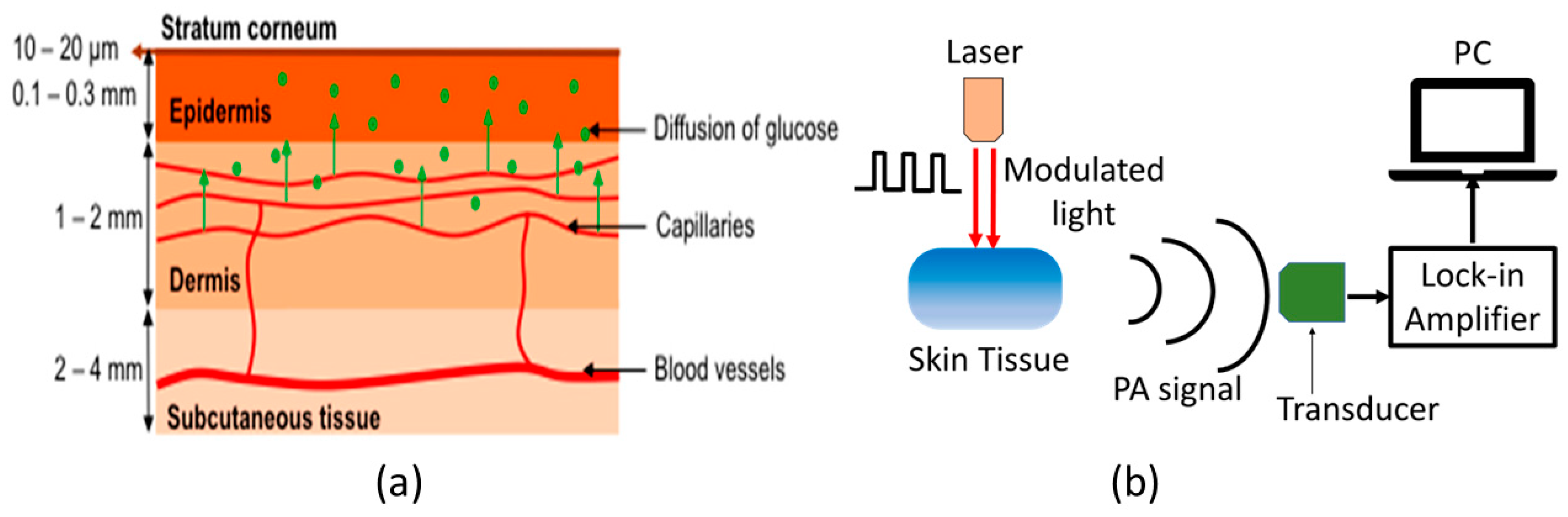 Biosensors 13 00716 g002