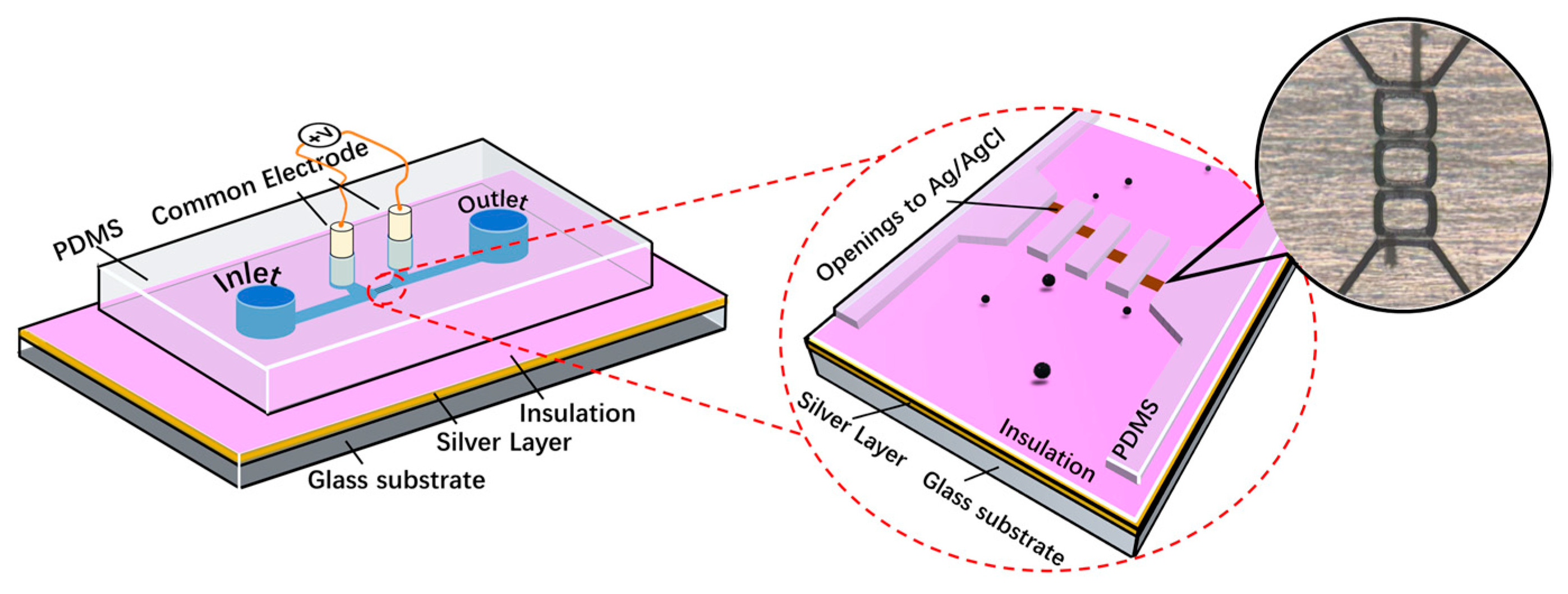 Biosensors 13 00721 g001